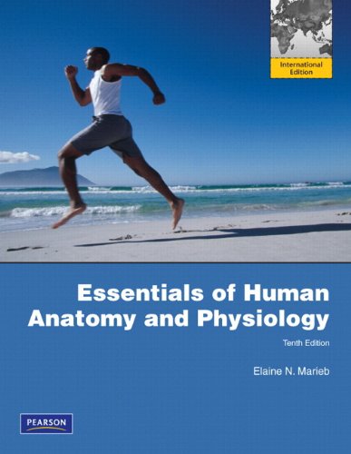 Essentials of Human Anatomy & Physiology: International Edition book