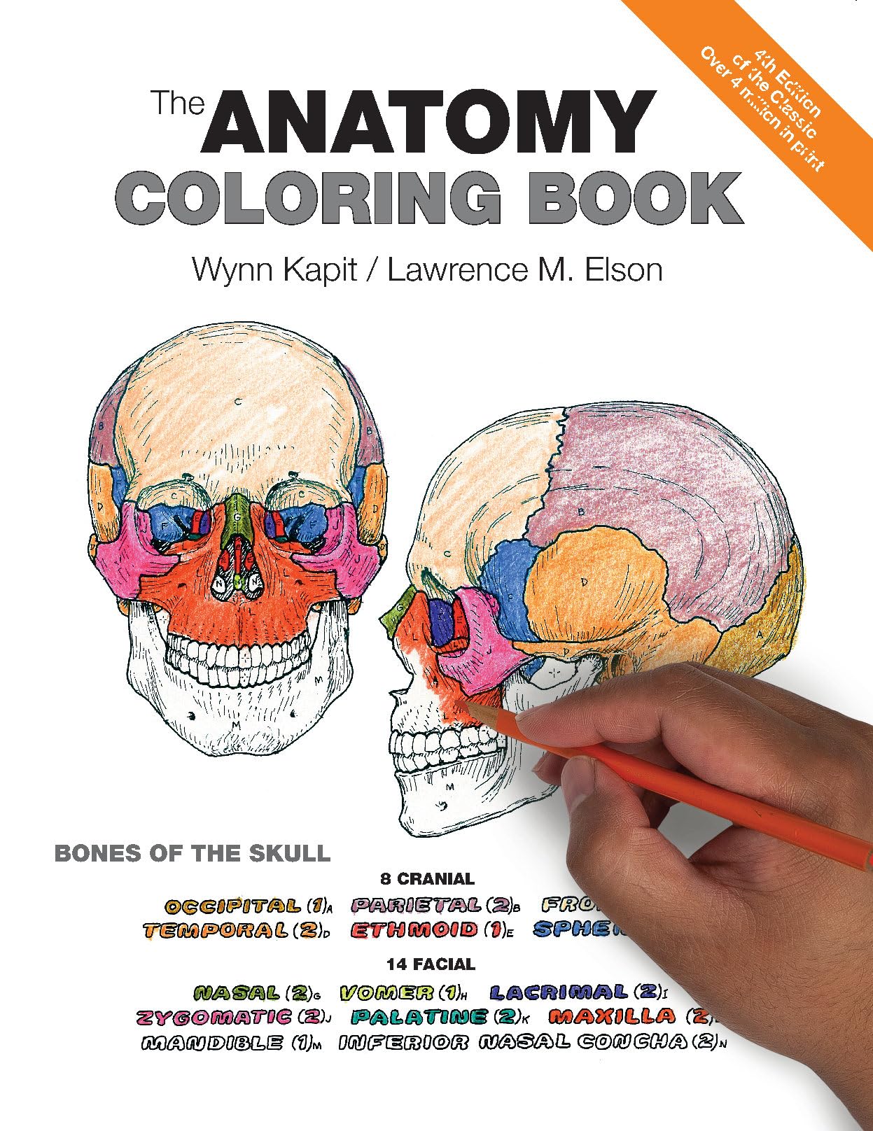 Product Image: Anatomy Coloring Book, The