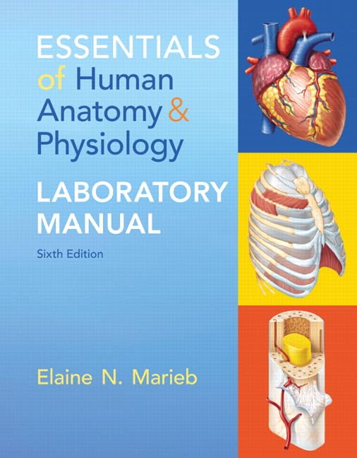 Essentials of Human Anatomy & Physiology Medicine