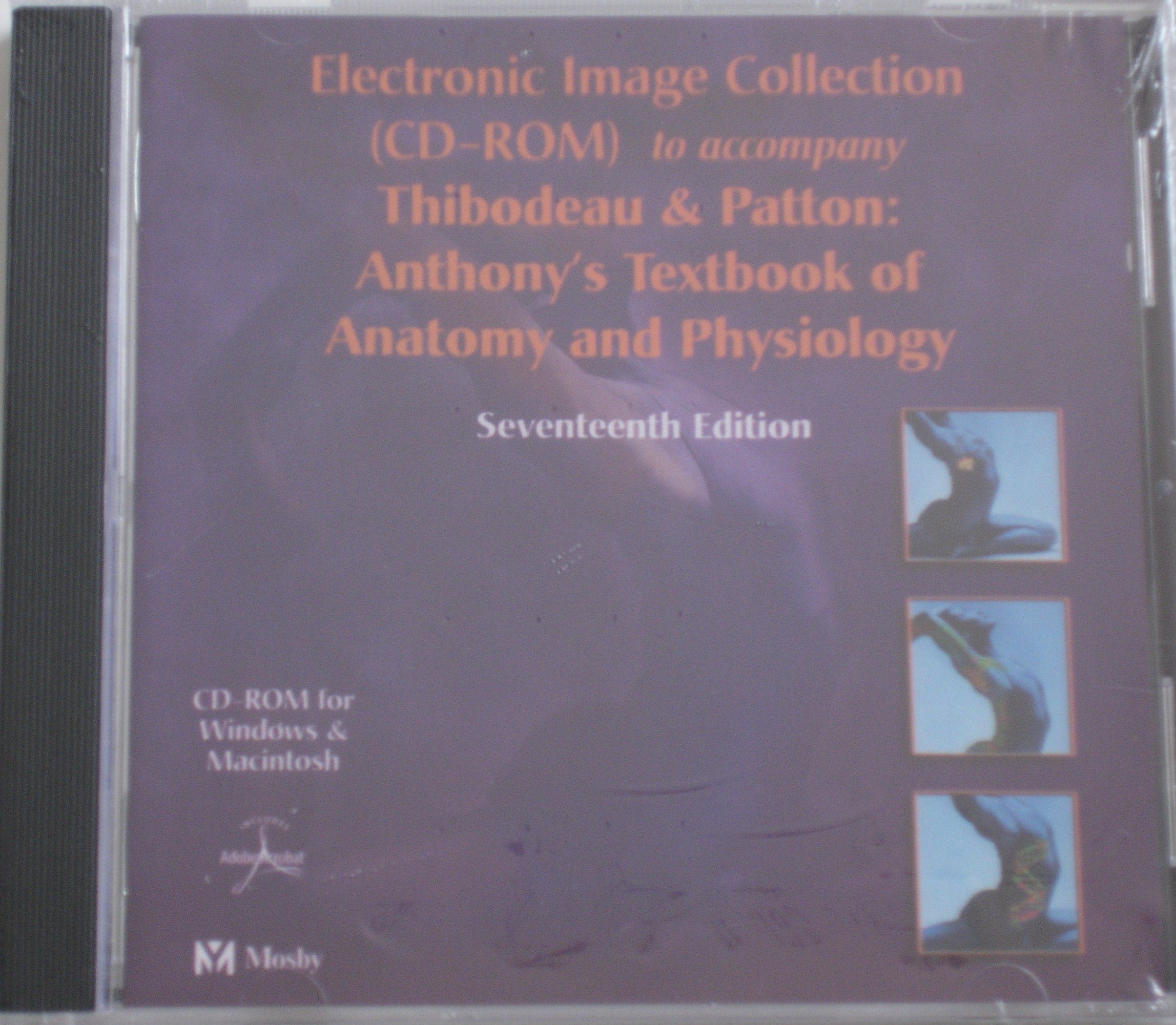 Electronic Image Collection to Accompany Anthony's Textbook of Anatomy and Physiology Medicine