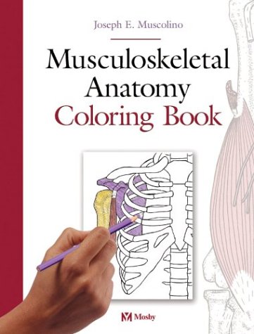 Musculoskeletal Anatomy Coloring Book Medicine