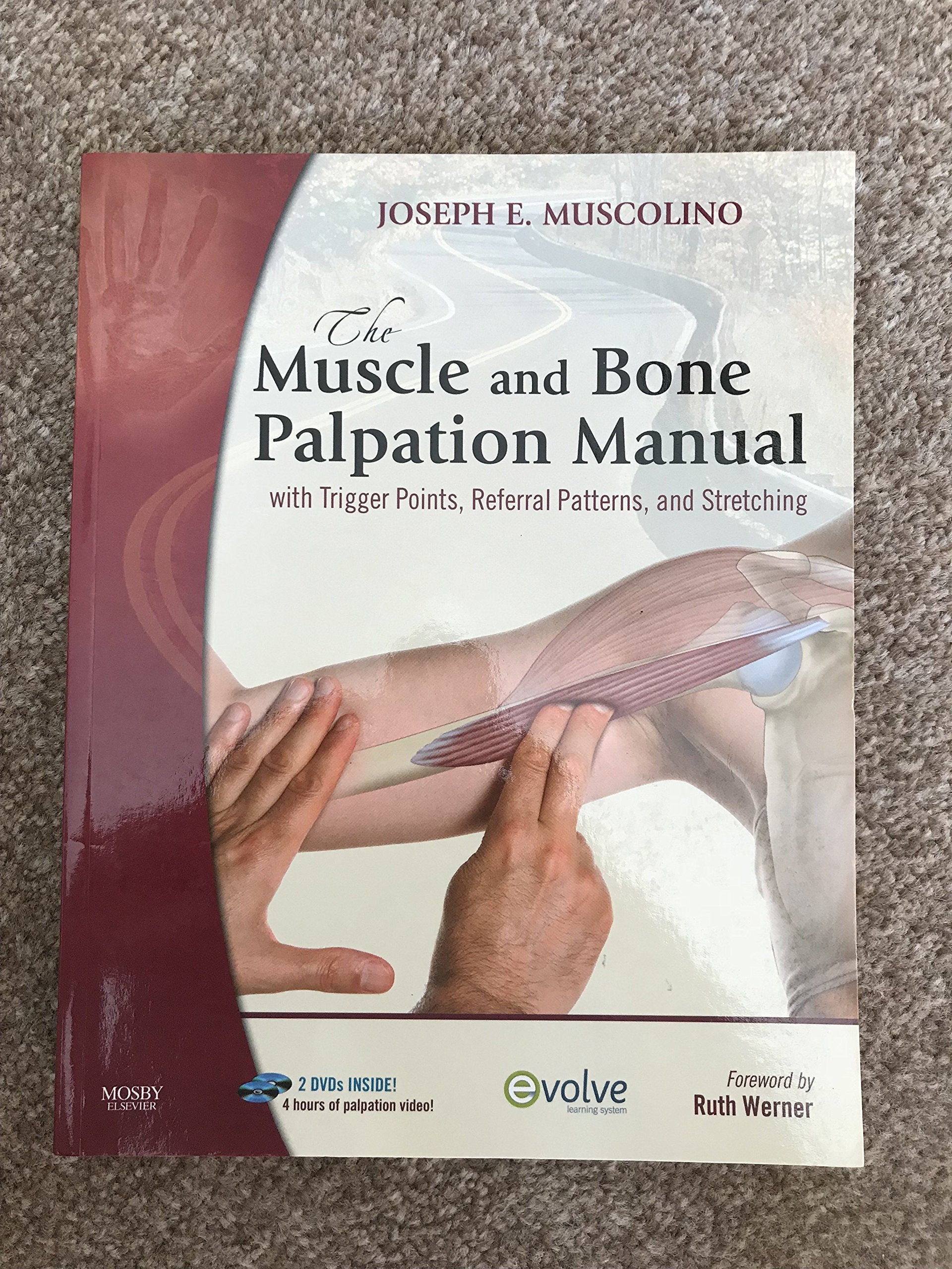 The Muscle and Bone Palpation Manual with Trigger Points, Referral Patterns and Stretching, w. 2 DVD-ROMs Medicine