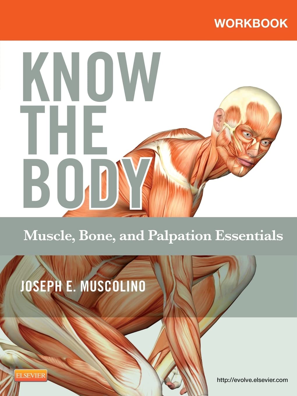 Workbook for Know the Body: Muscle, Bone, and Palpation Essentials, 1e Medicine