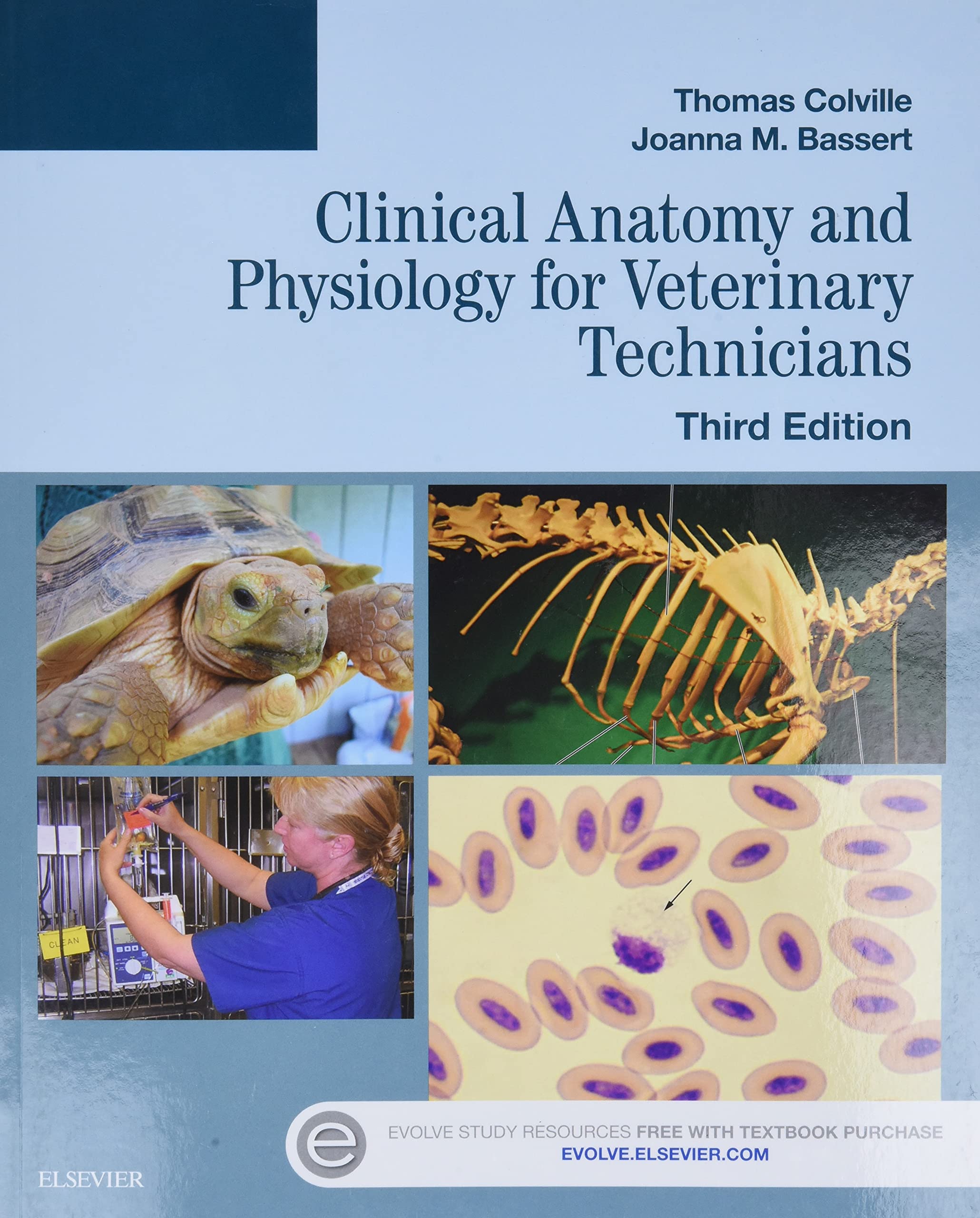 Clinical Anatomy and Physiology for Veterinary Technicians Medicine