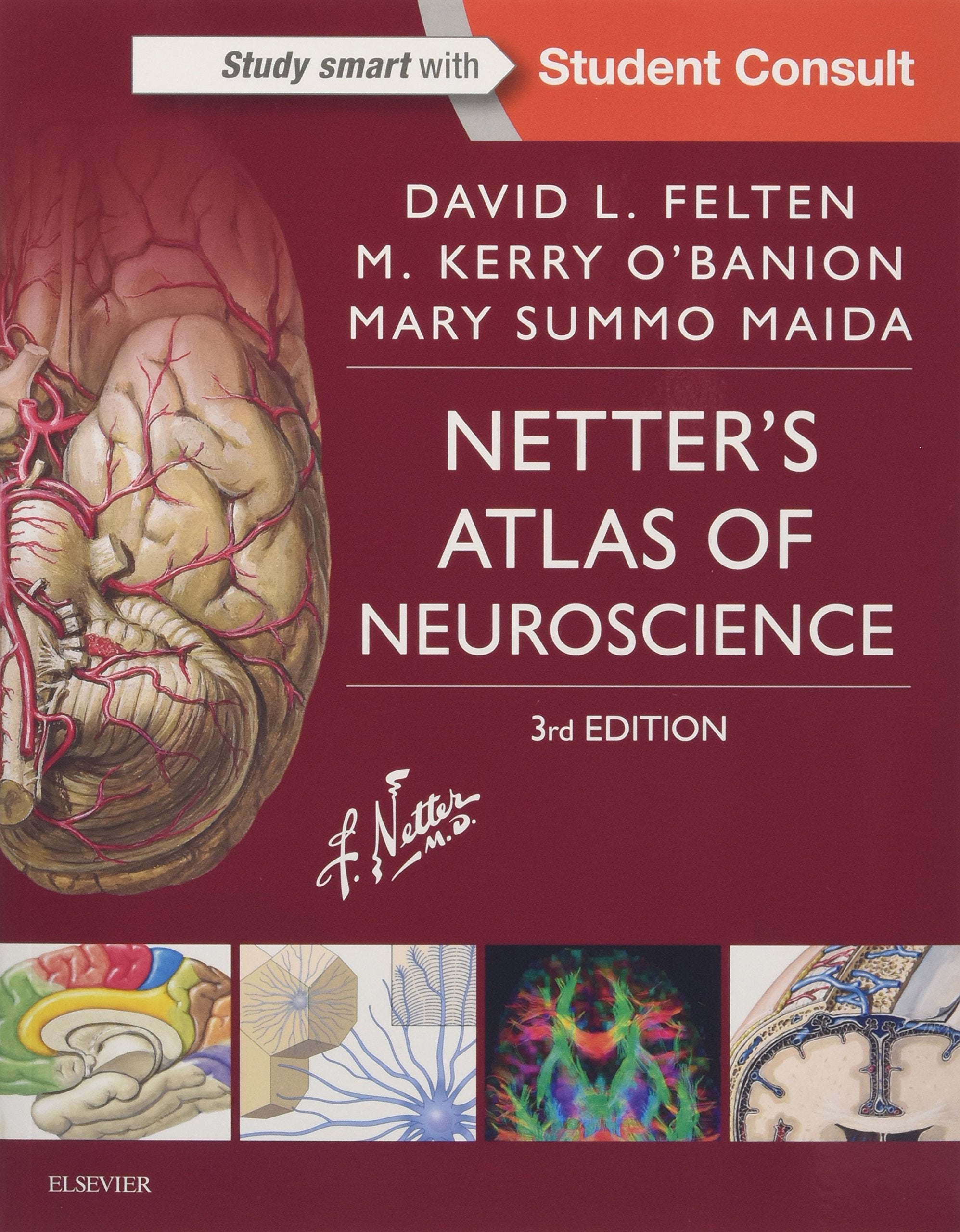 Netter's Atlas of Neuroscience book