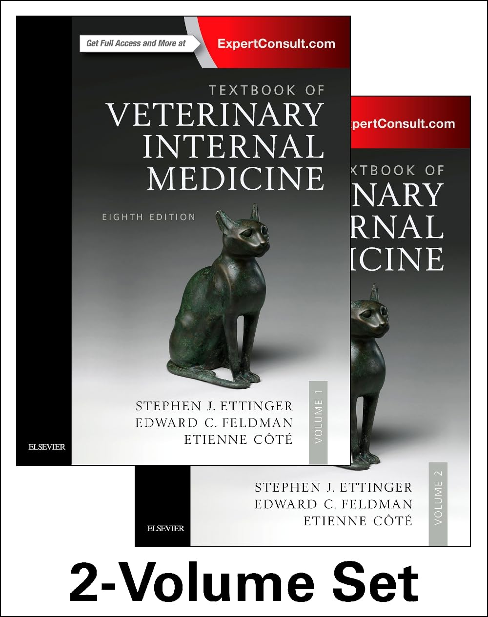 Textbook of Veterinary Internal Medicine Expert Consult (2 tomes) book