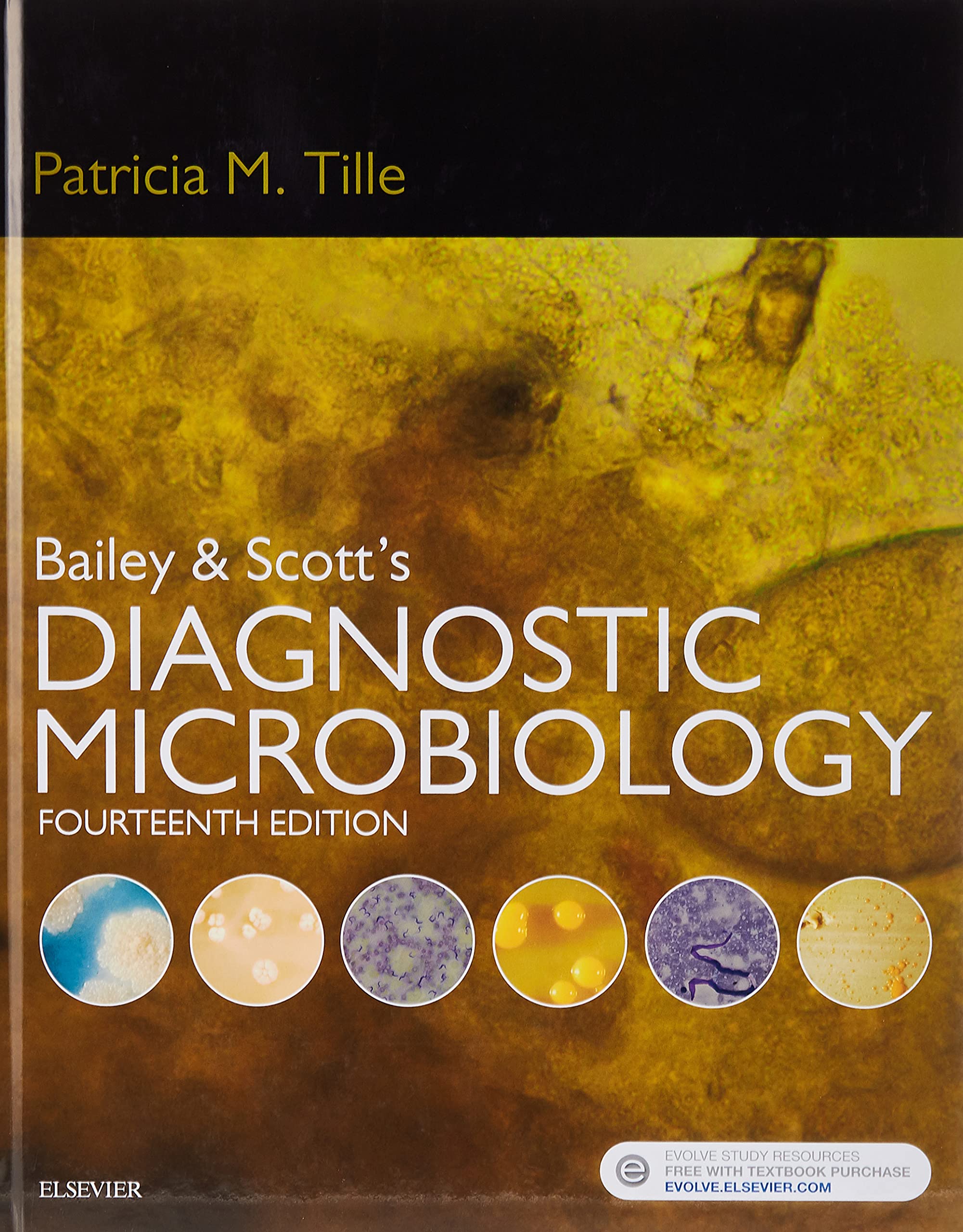 Bailey & Scott's Diagnostic Microbiology Medicine
