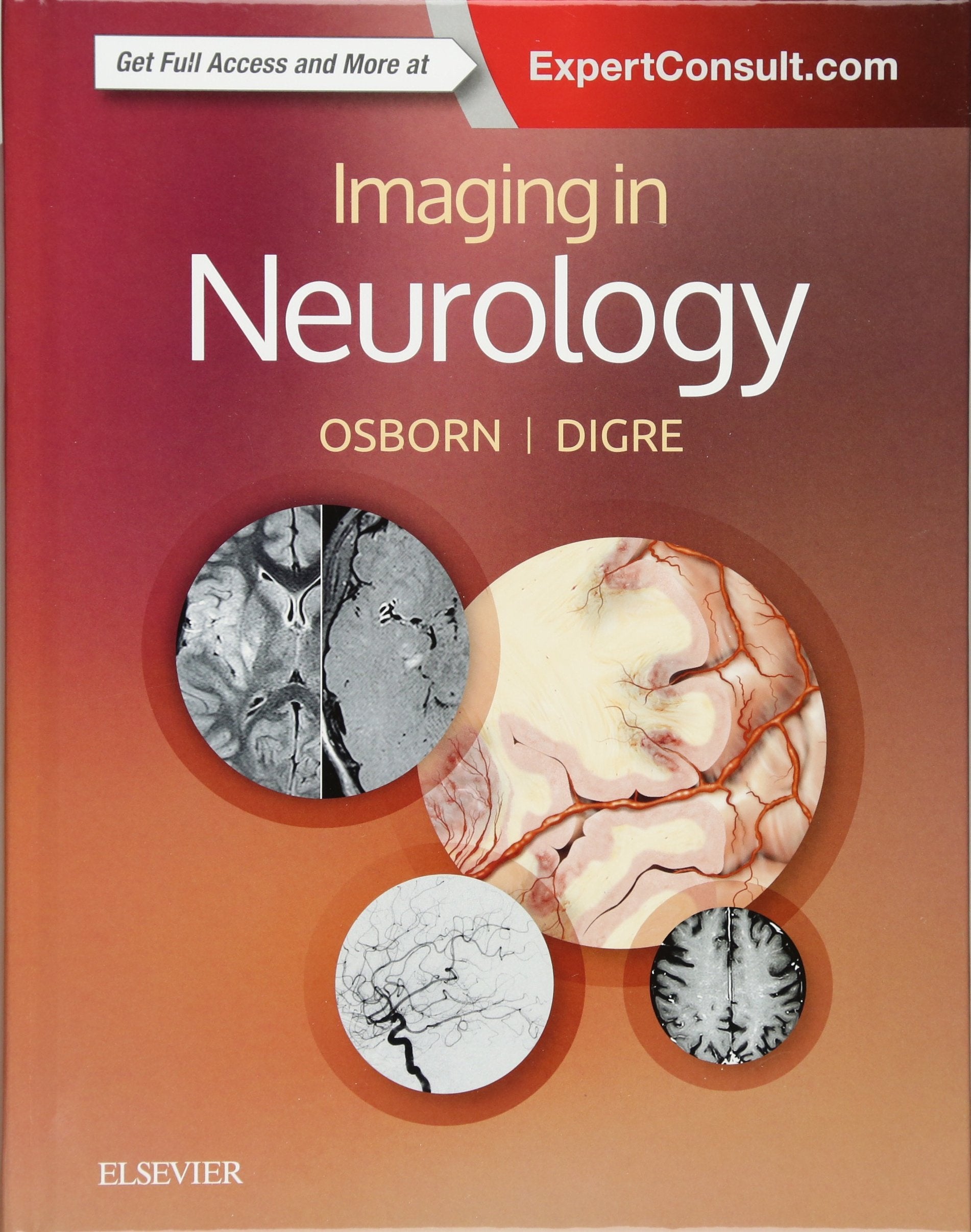Imaging in Neurology Medicine