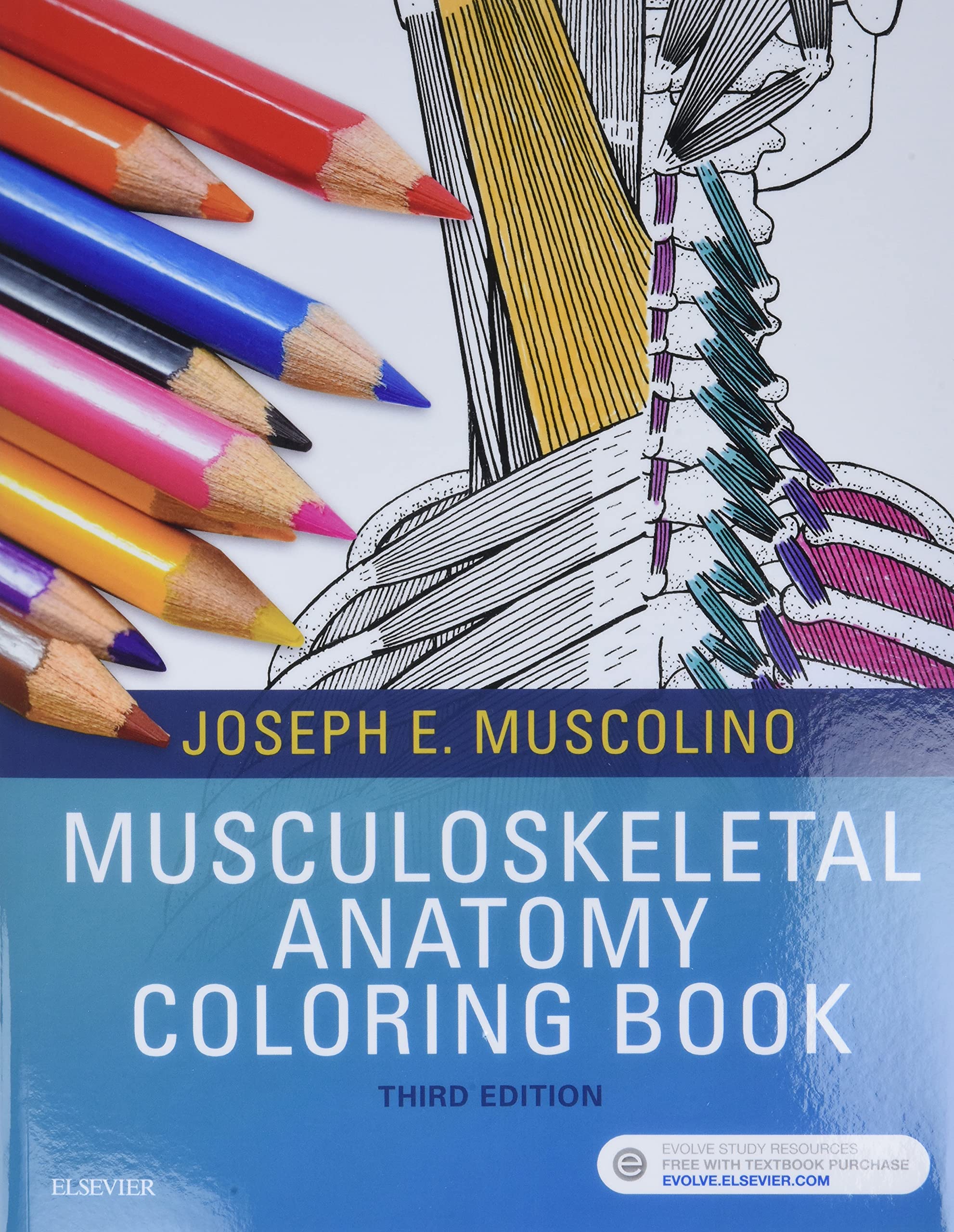 Musculoskeletal Anatomy Coloring Book Medicine