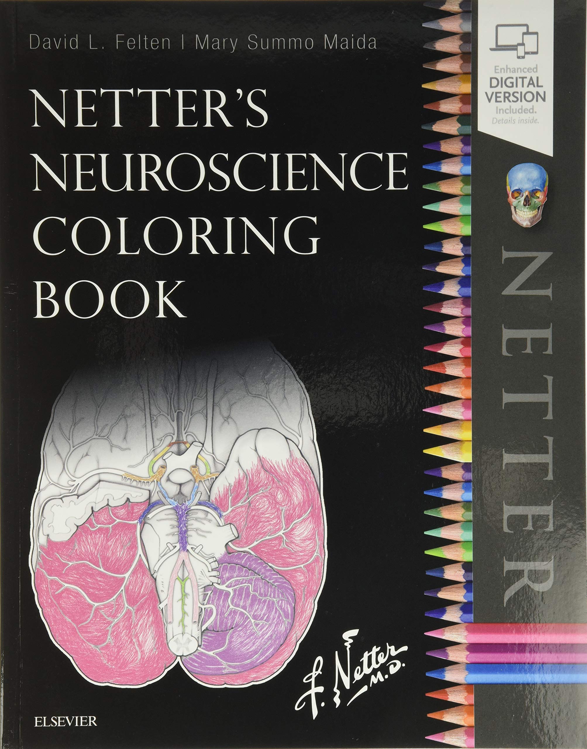 Netter's Neuroscience Coloring Book Medicine