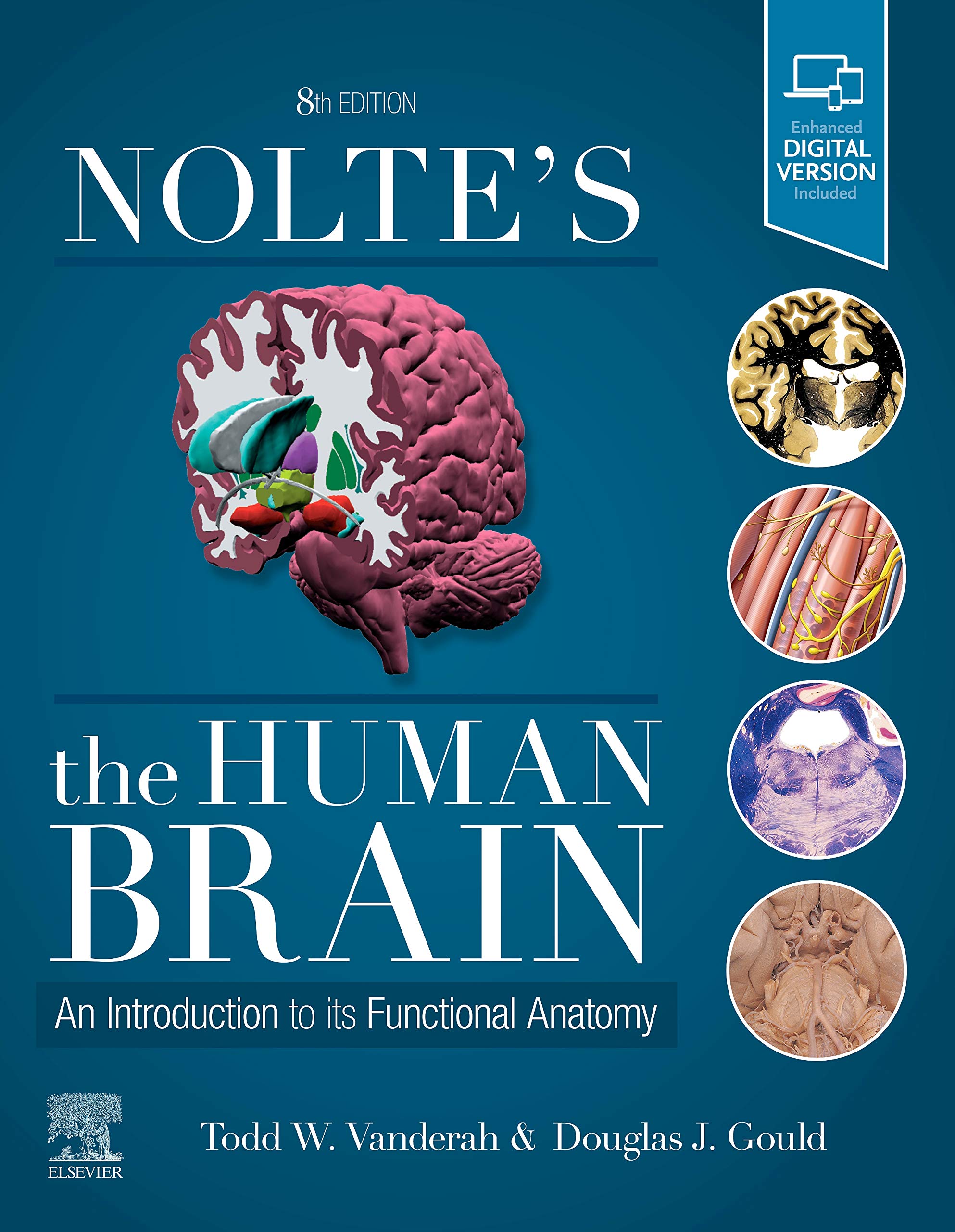 Nolte's The Human Brain: An Introduction to its Functional Anatomy Medicine