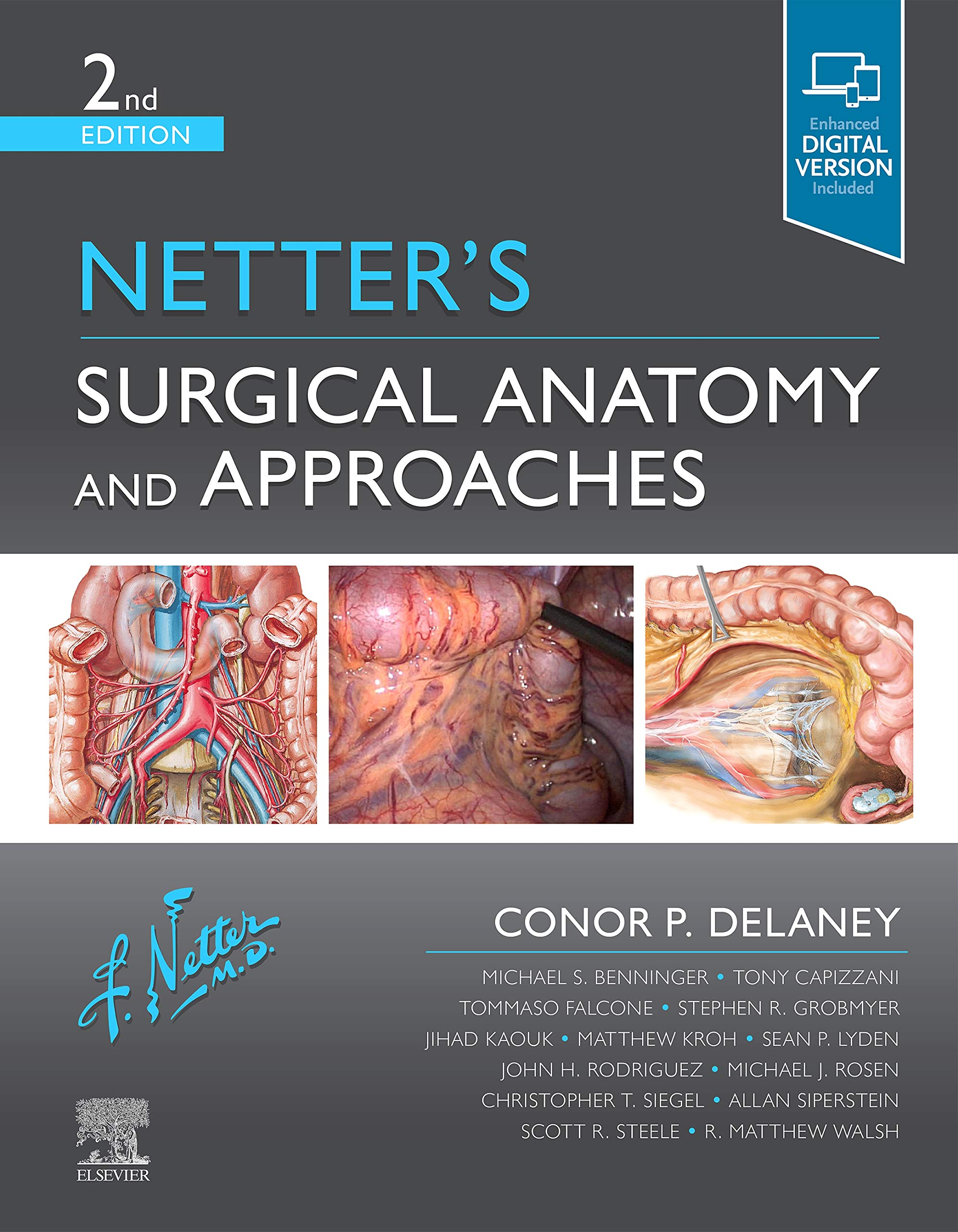 Netter's Surgical Anatomy and Approaches (Netter Clinical Science) Medicine