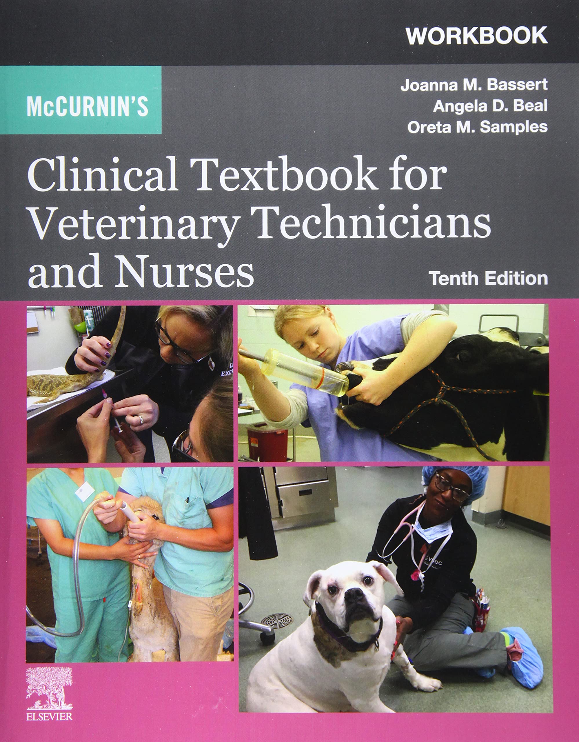 Workbook for McCurnin's Clinical Textbook for Veterinary Technicians and Nurses Medicine