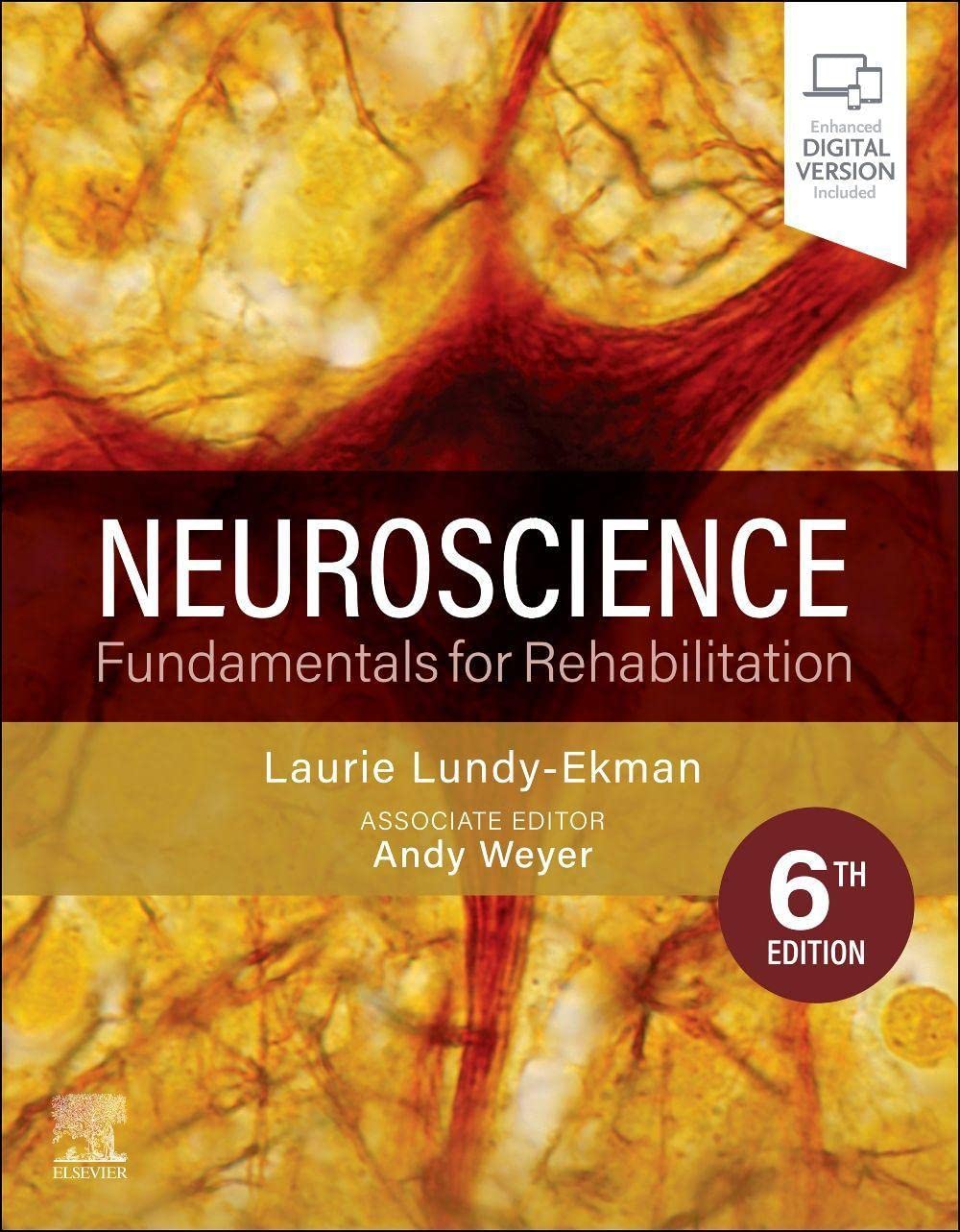 Neuroscience: Fundamentals for Rehabilitation Medicine