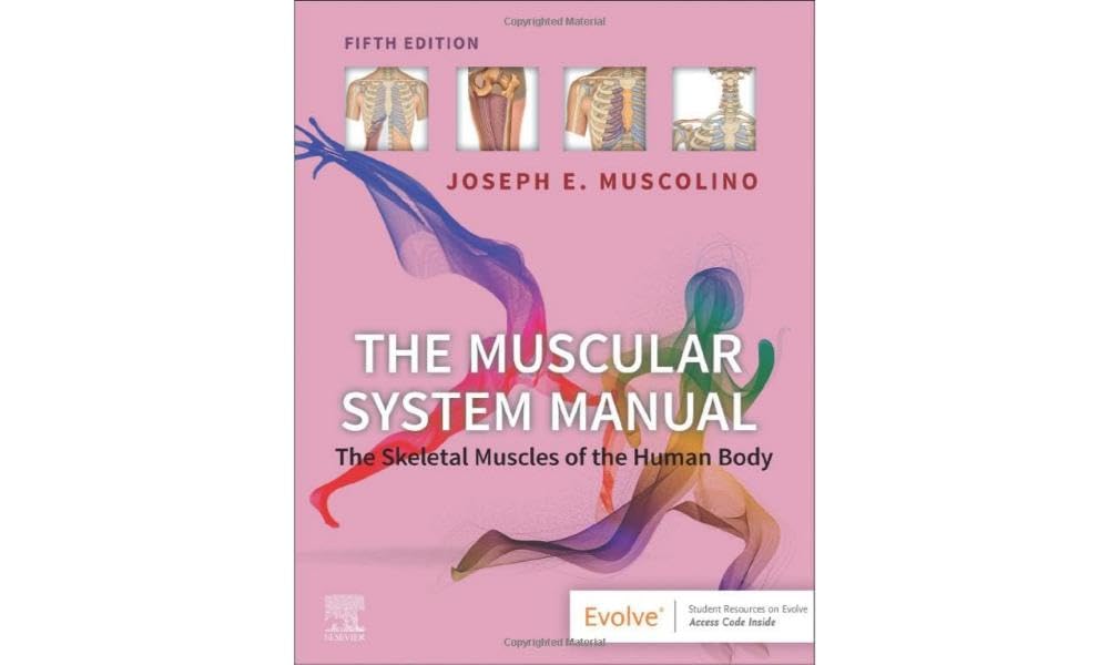The Muscular System Manual: The Skeletal Muscles of the Human Body Medicine