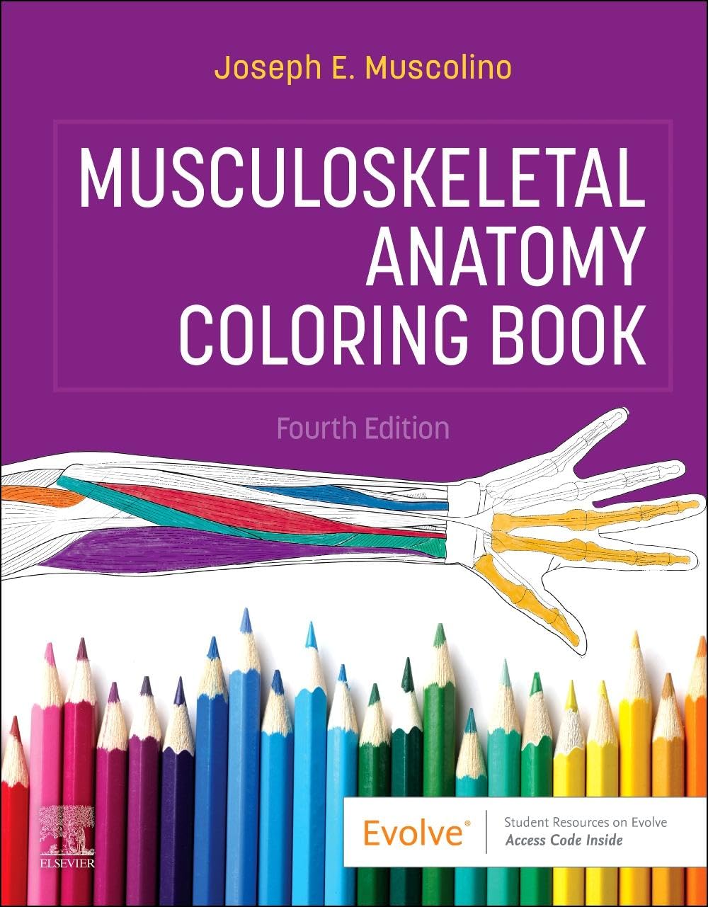 Musculoskeletal Anatomy Coloring Book Medicine