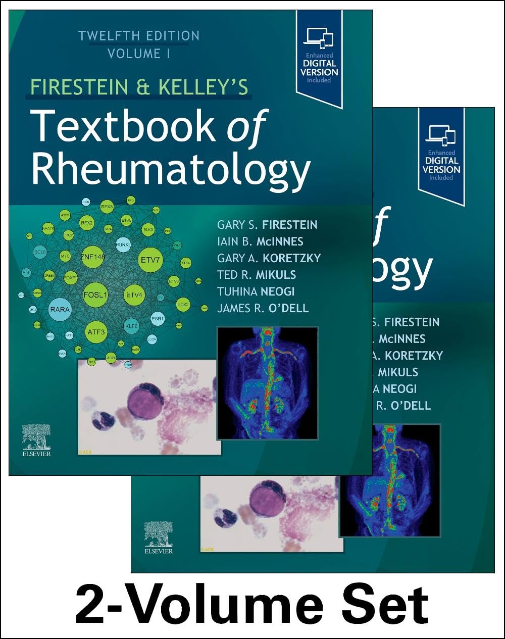 Firestein & Kelley’s Textbook of Rheumatology, 2-Volume Set (Kelleys Textbbok of Rheumatology) Medicine