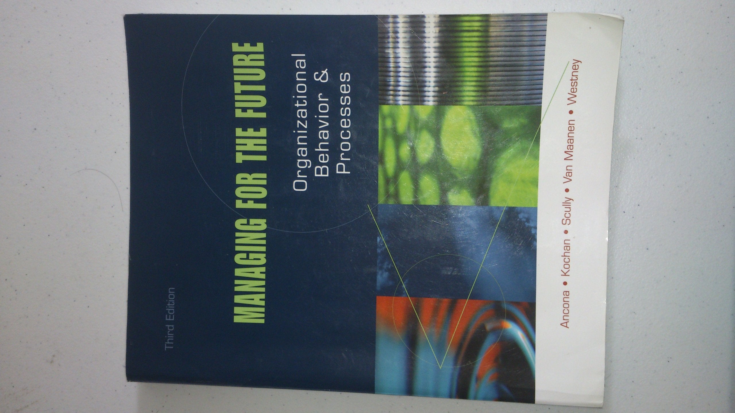 Managing for the Future Business, Finance & Career