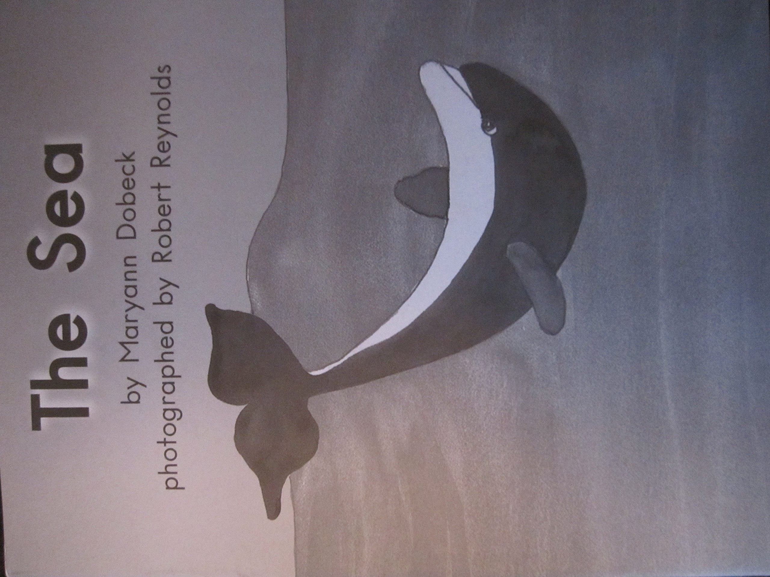 The Sea (Fountas and Pinnell Leveled Literacy Inte Books