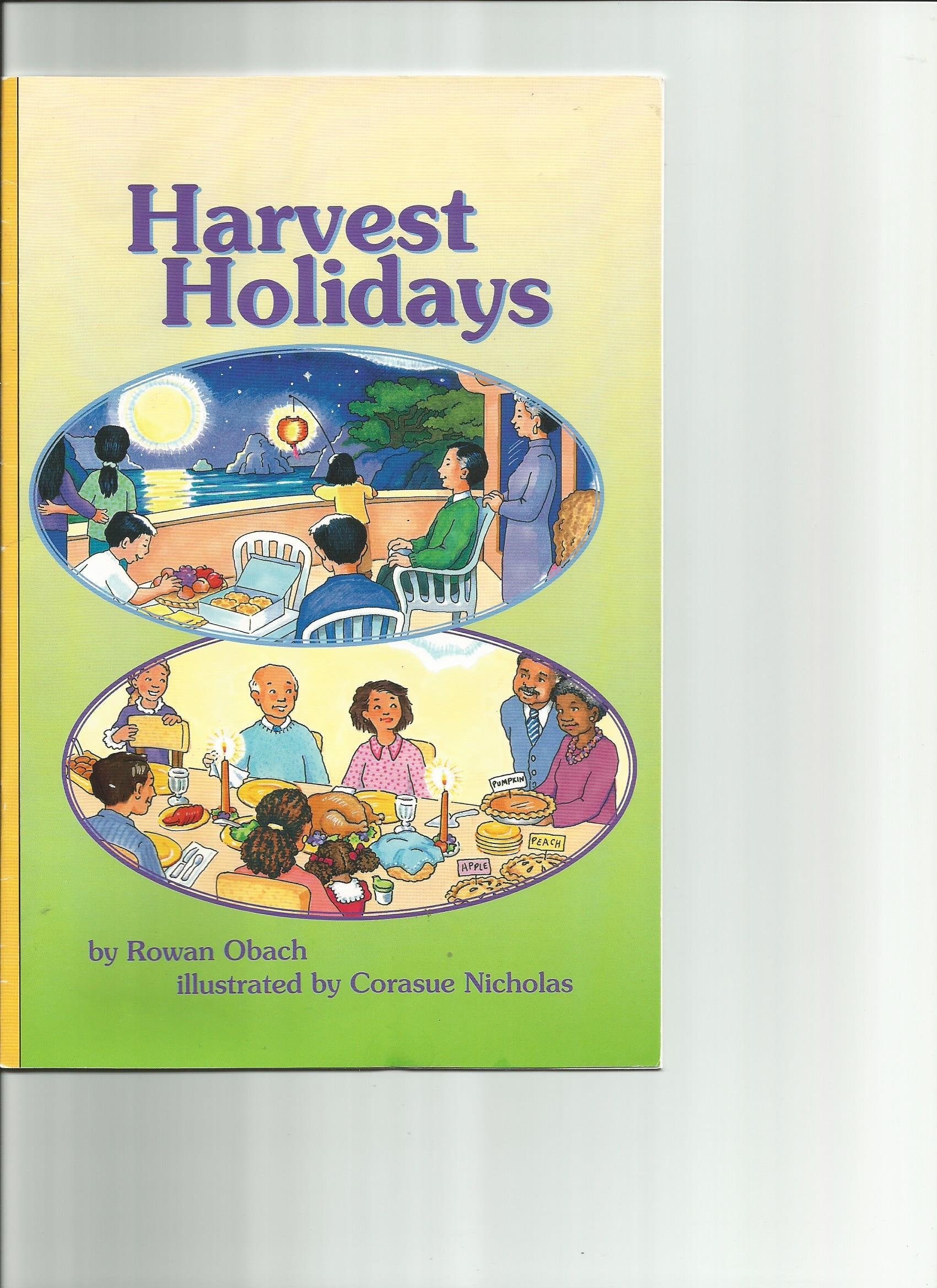 Product Image: Reading 2007 Leveled Reader Grade 1 Unit 4 Lesson 4 on Level Level