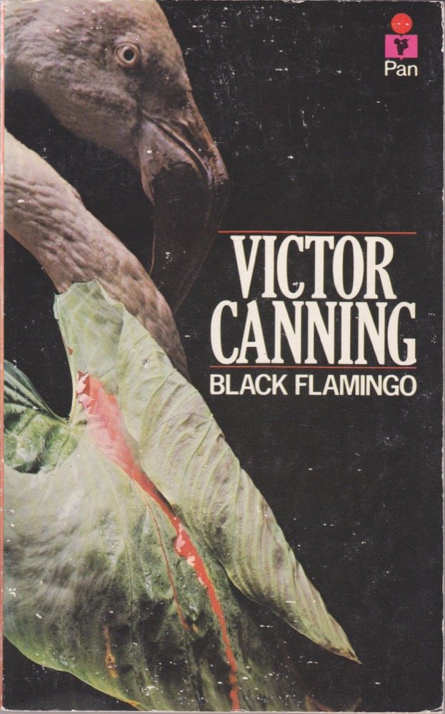 Product Image: Black Flamingo
