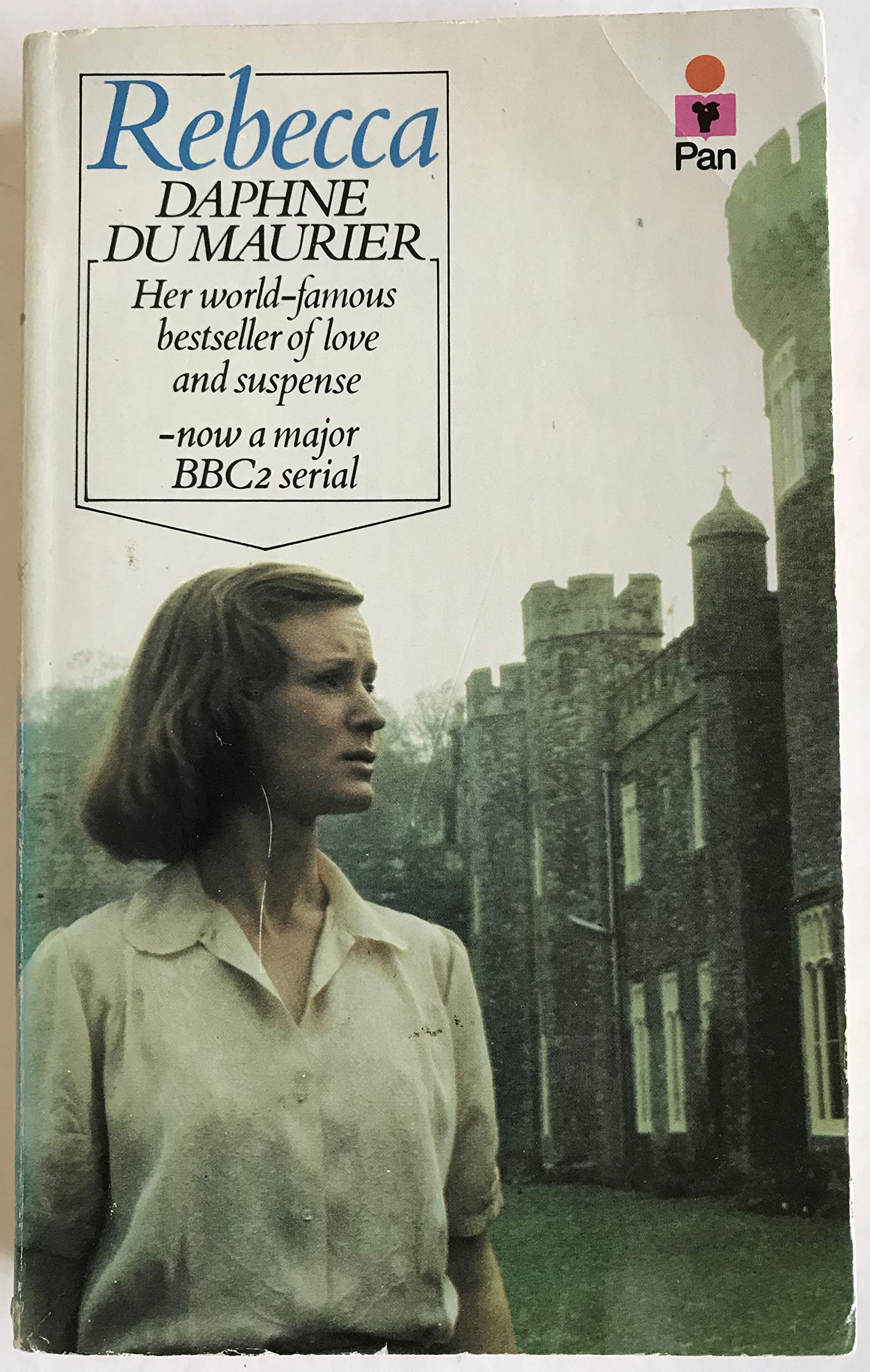 Rebecca Contemporary literature Books