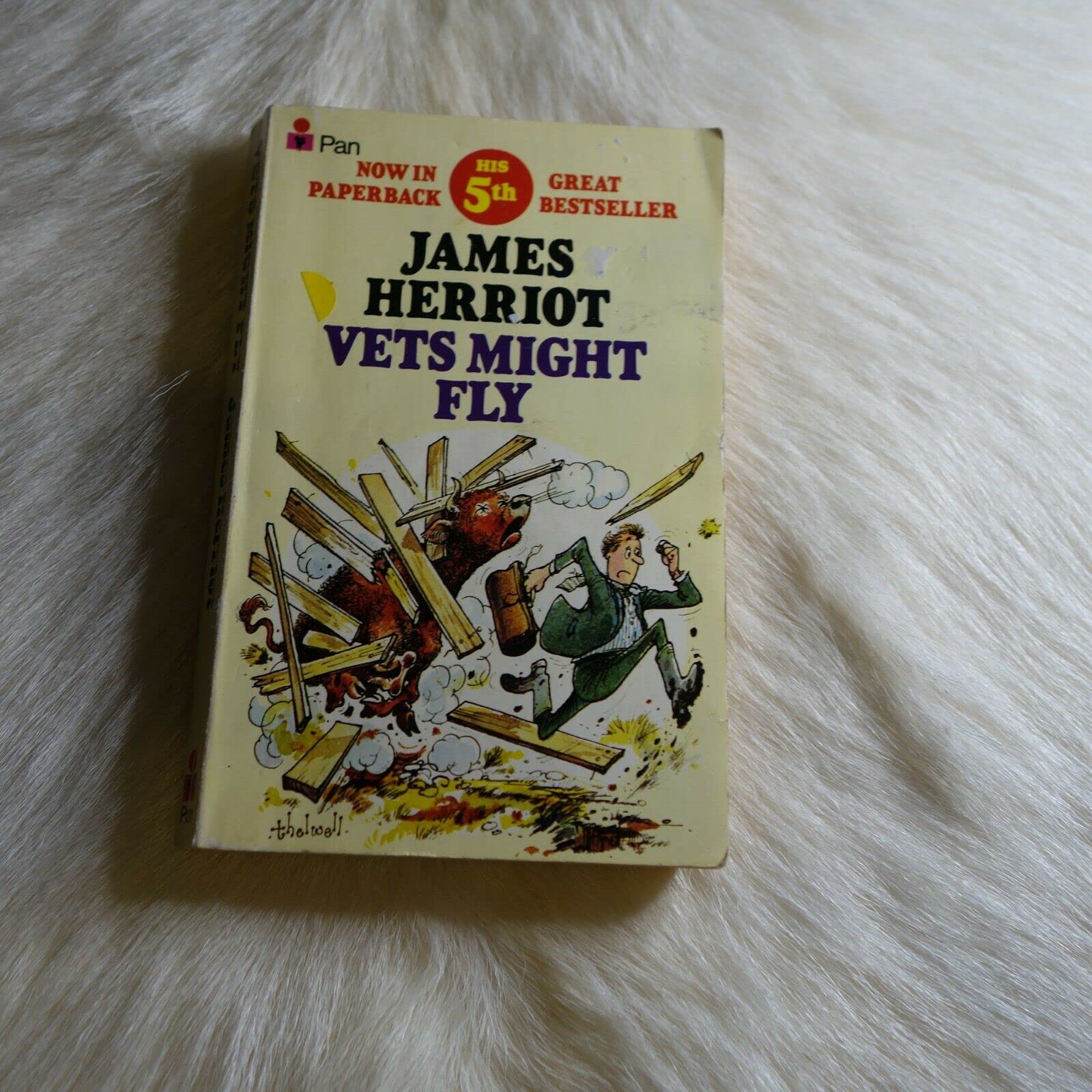 Vets Might Fly Memories