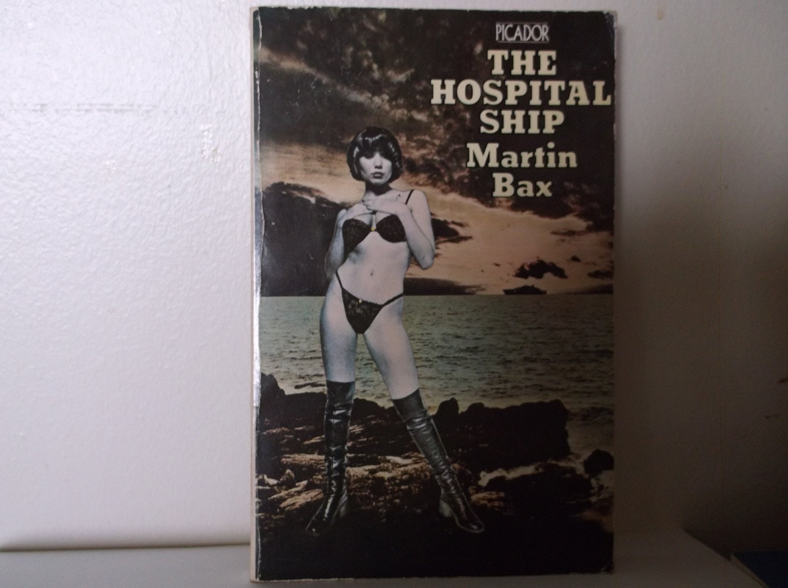 The Hospital Ship (Picador) book