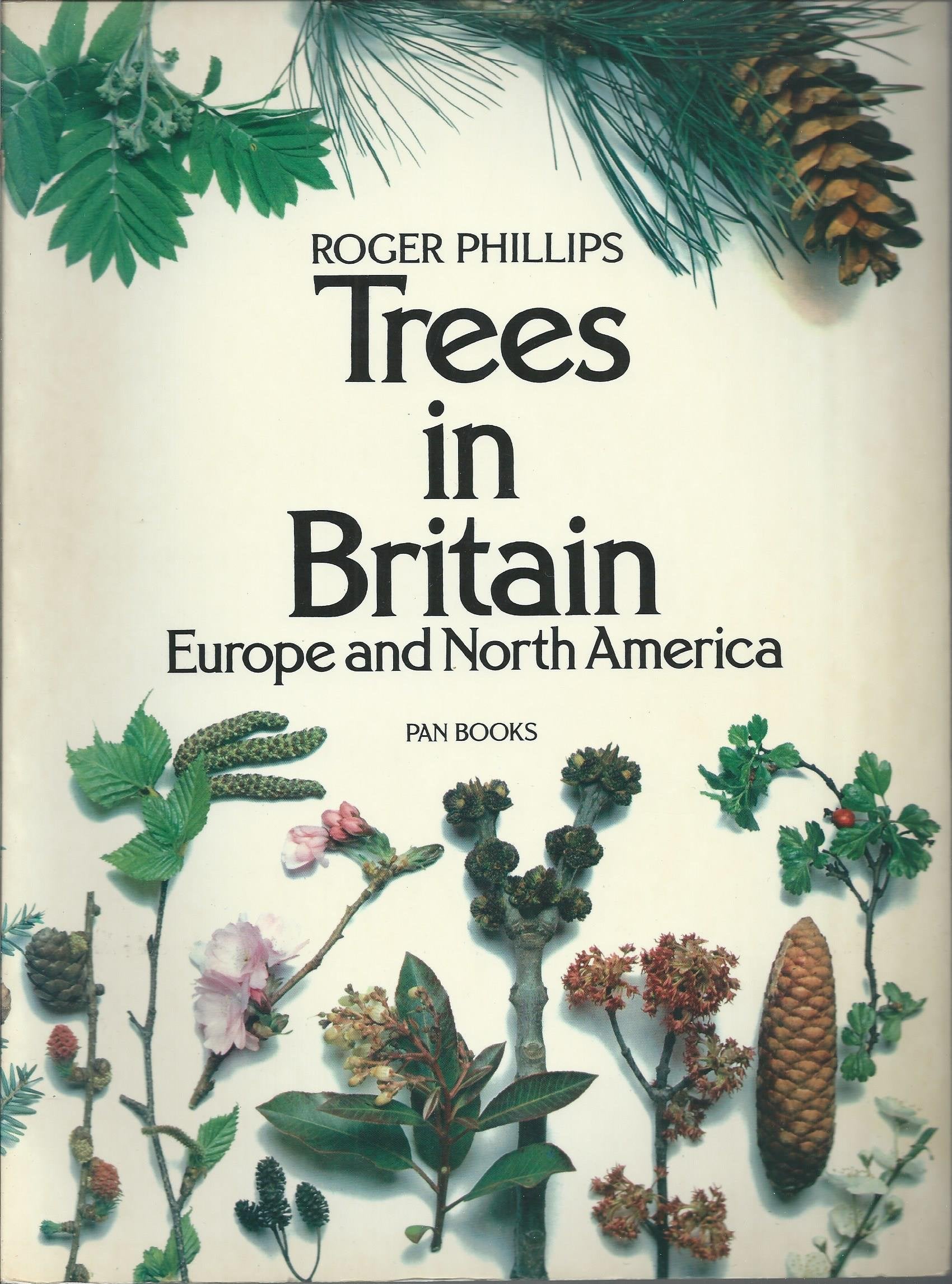 Trees in Britain, Europe and North America Mathematics
