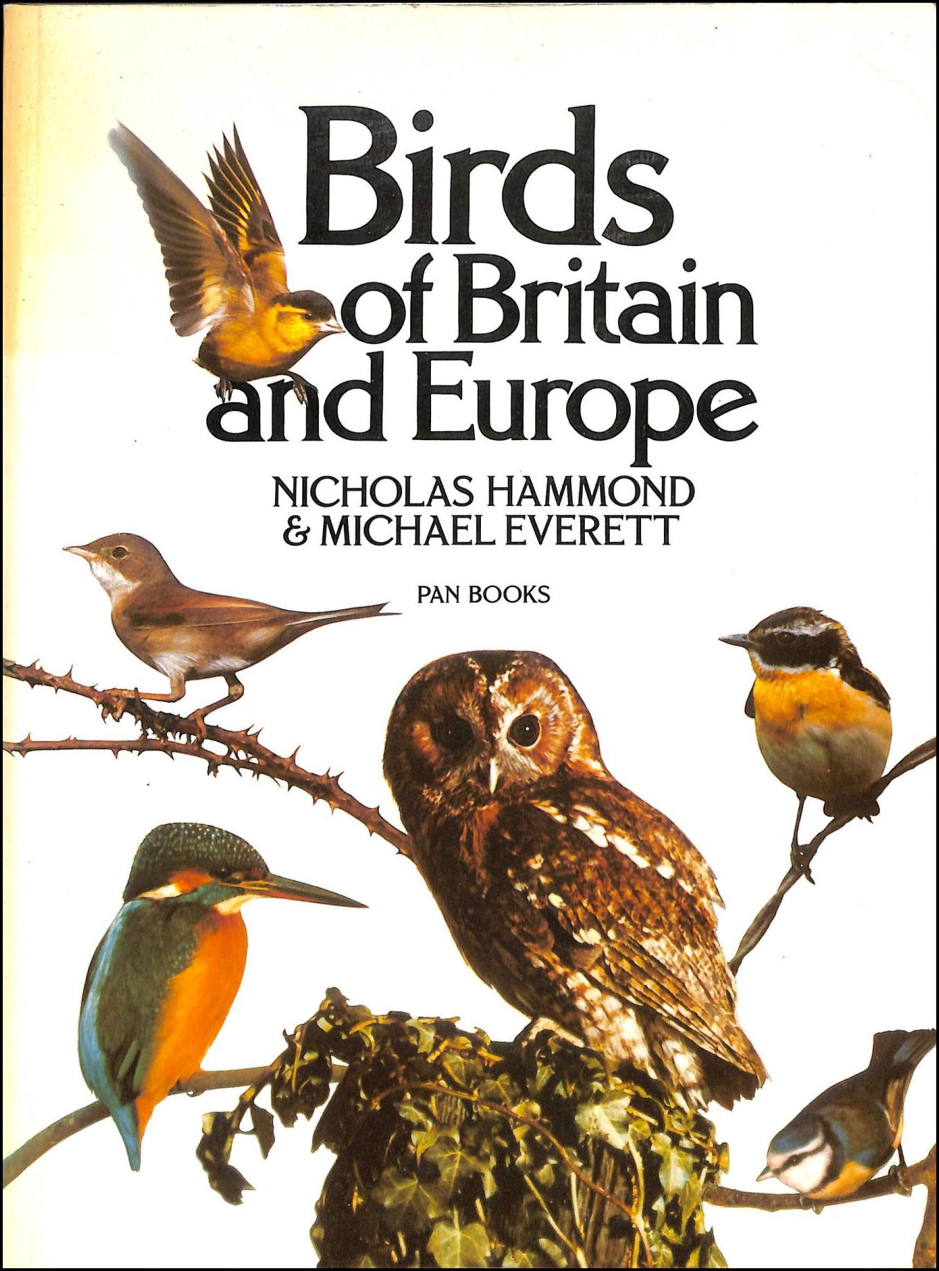 Birds of Britain and Europe Mathematics