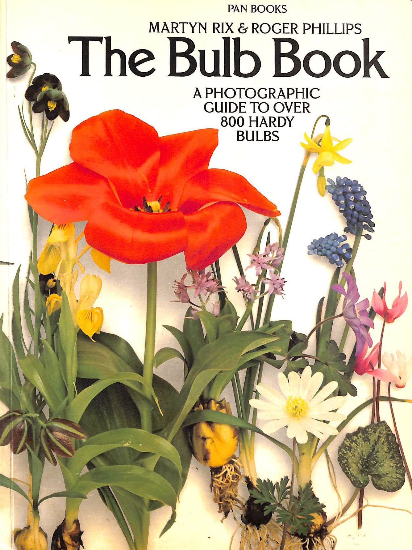 Bulb Book: A Photographic Guide to over 800 Hardy Bulbs Garden & Plants