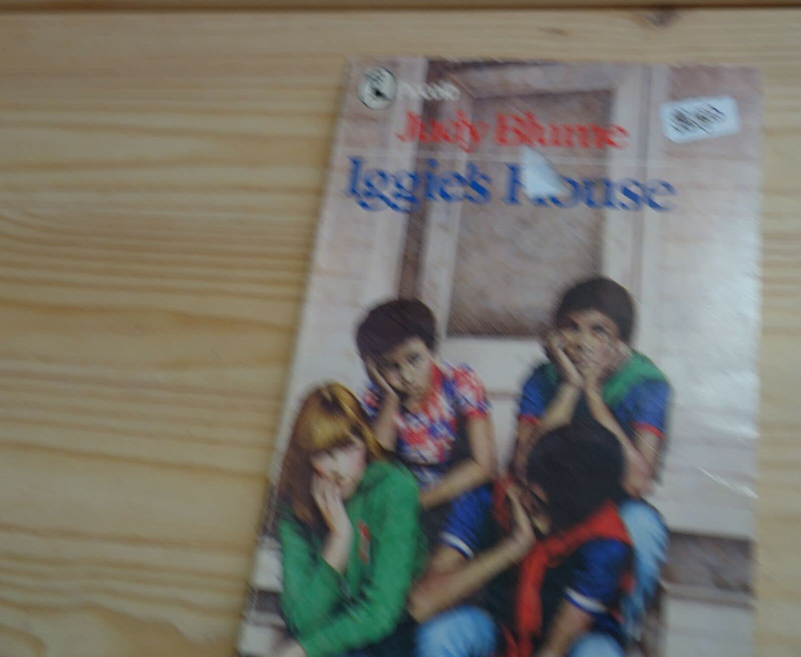 Iggie's House (Piccolo Books) Contemporary literature