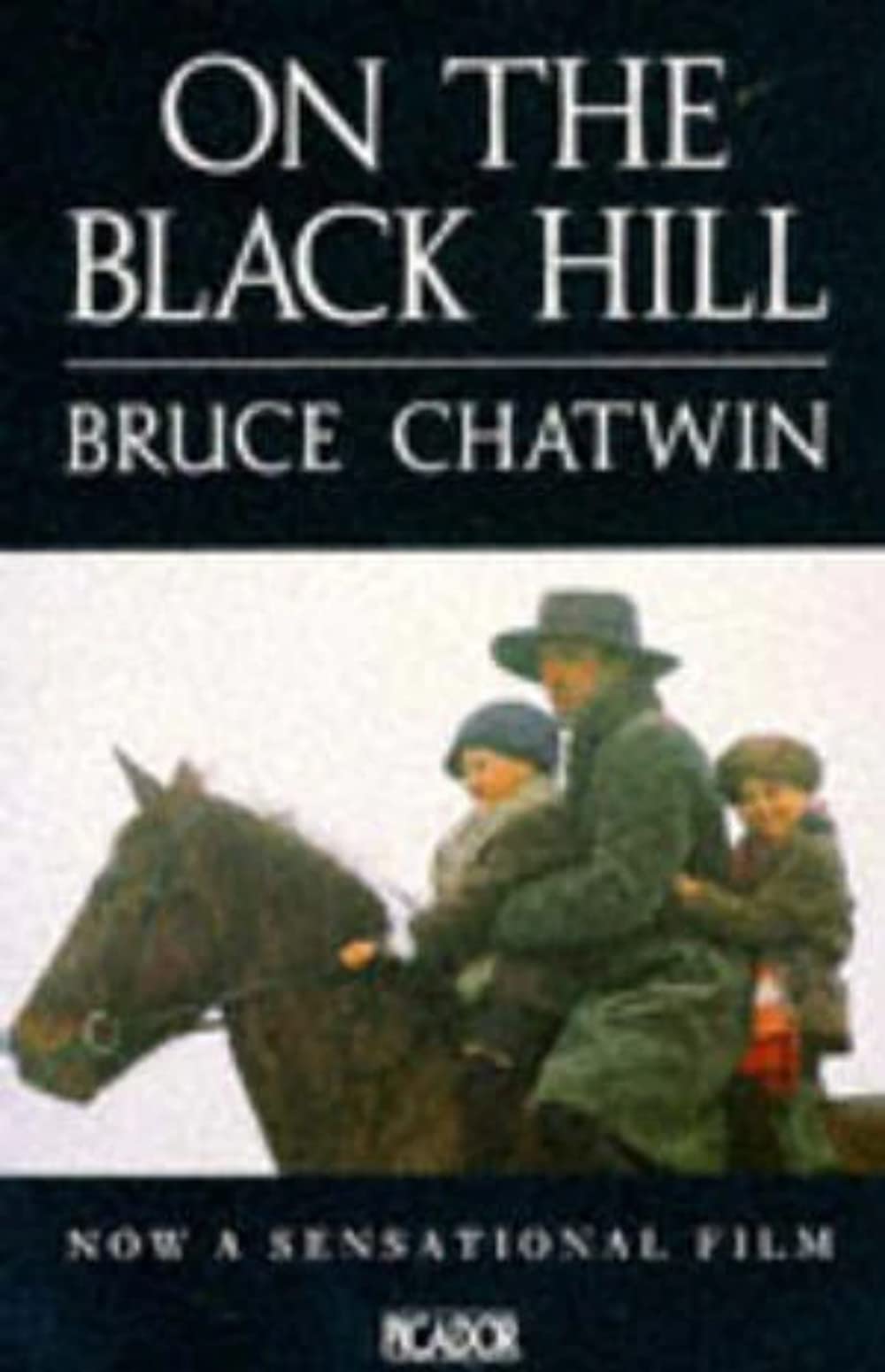 On the Black Hill (Picador Books) Contemporary literature