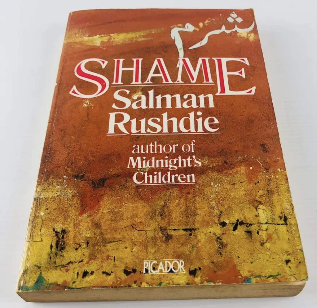 Shame (Picador Books) Contemporary literature