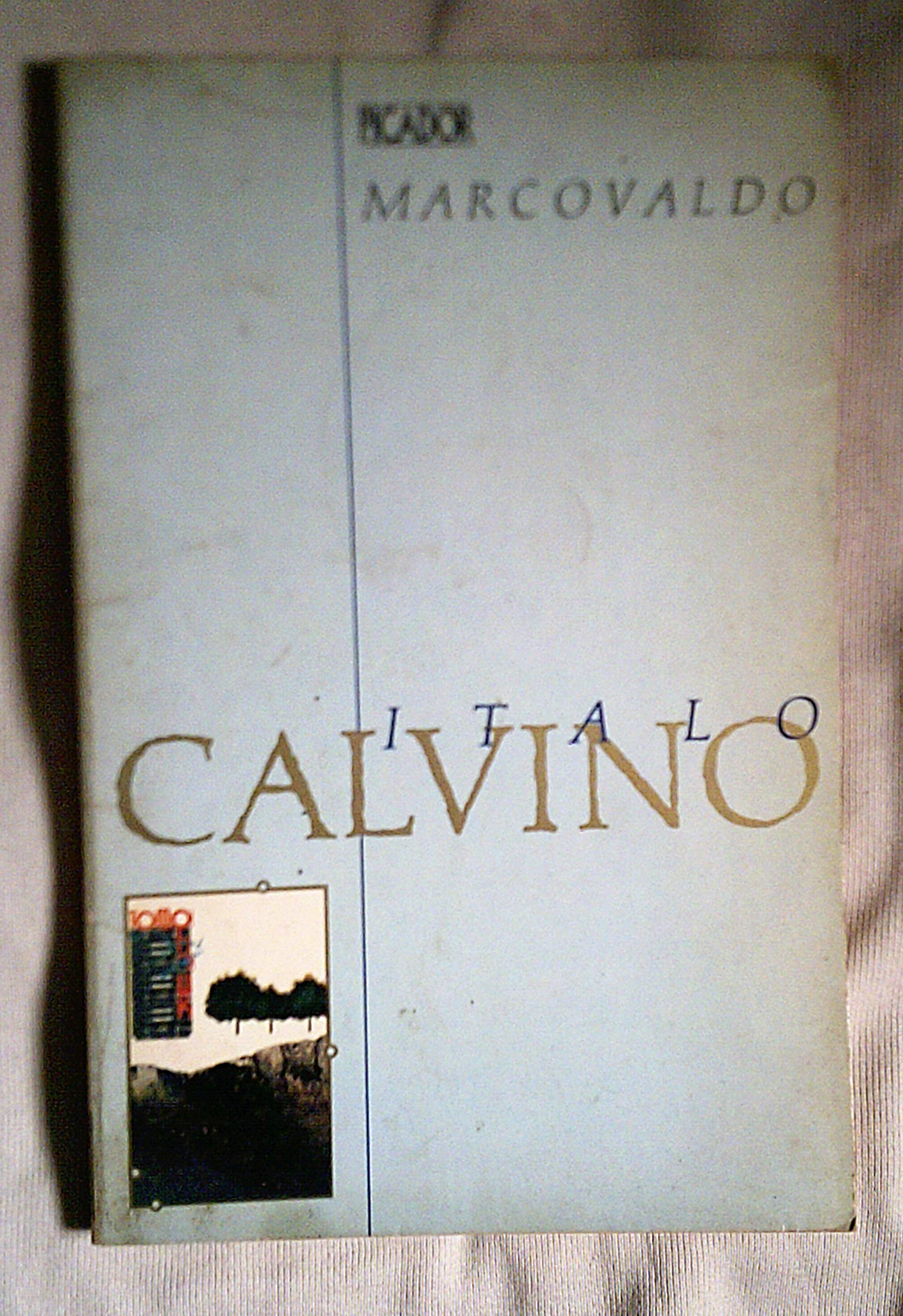 Marcovaldo: Or the Seasons in the City (Picador Books) Contemporary literature Books