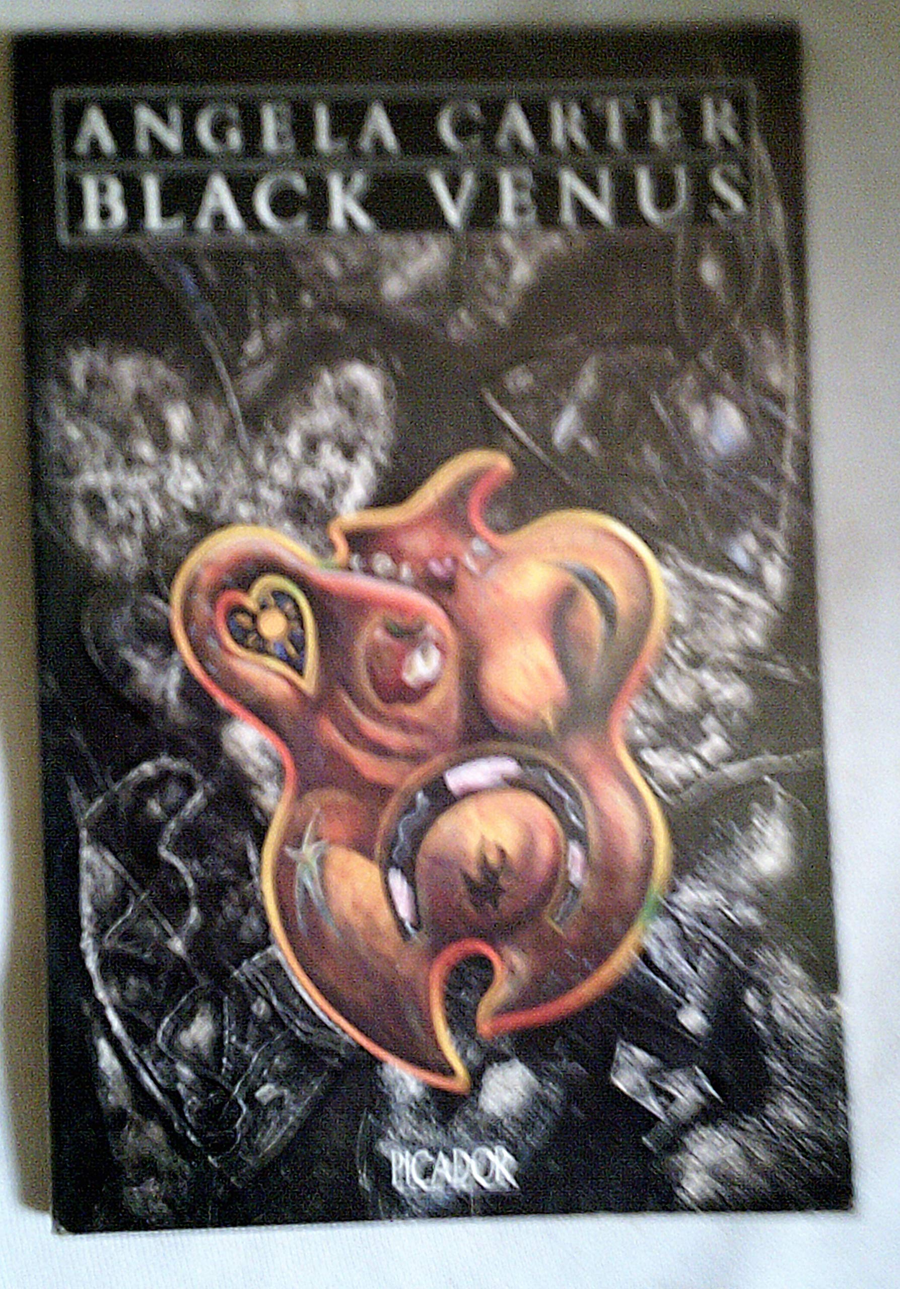 Black Venus (Picador Books) Essays & Short Stories
