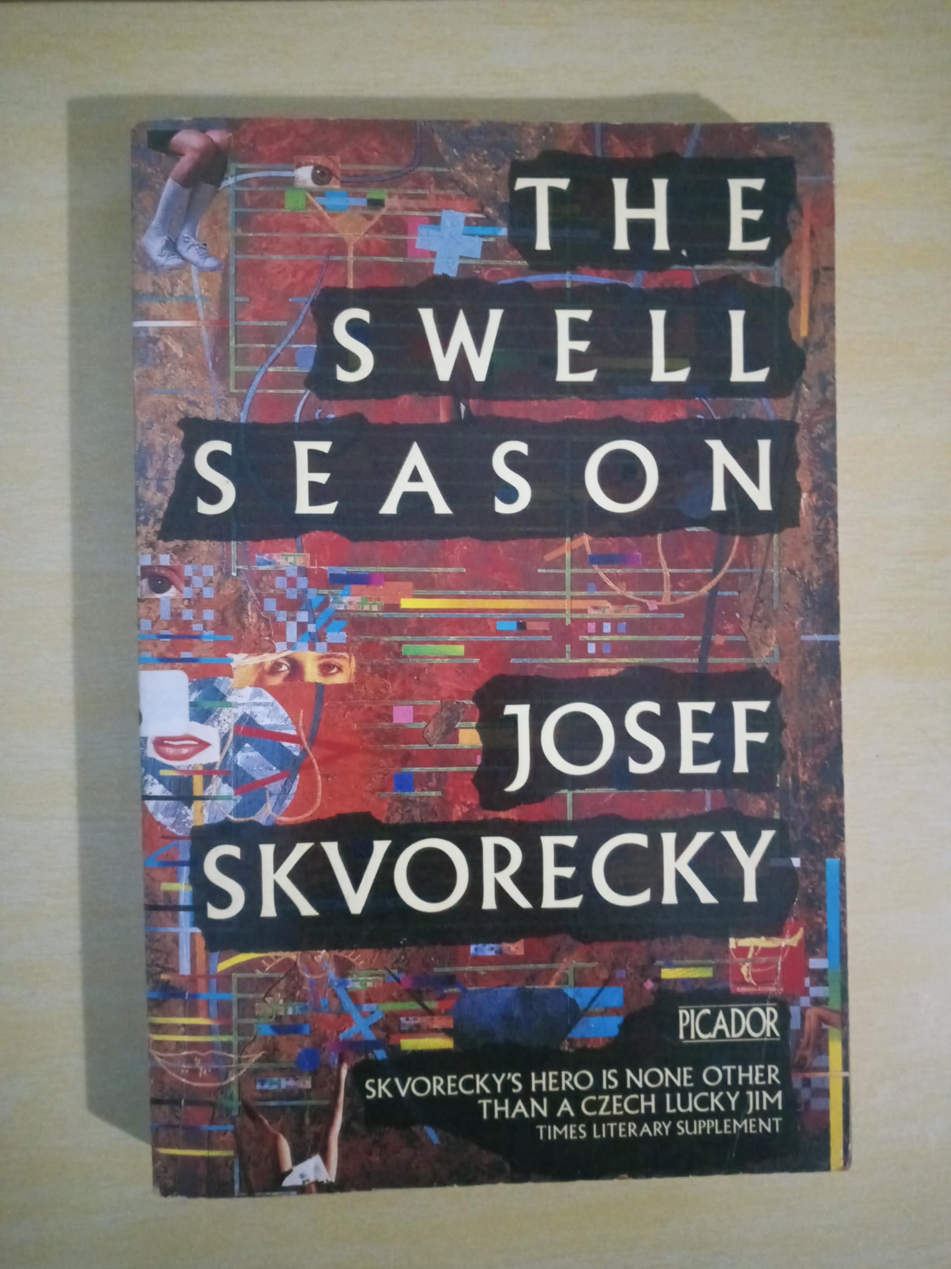 The Swell Season (Picador Books) Contemporary literature