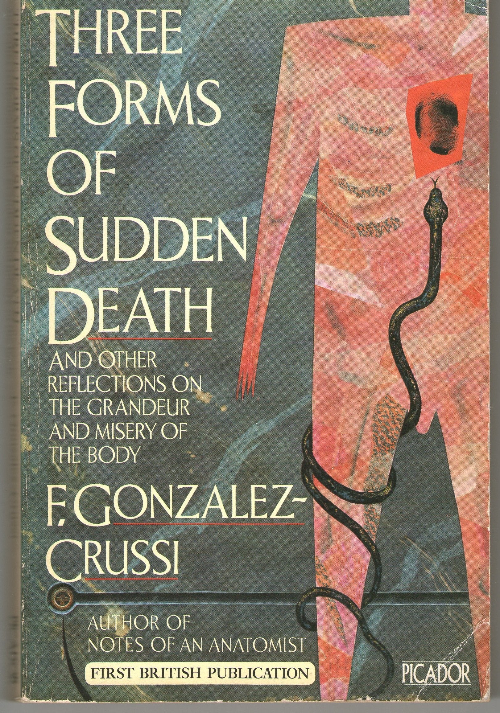 Three Forms of Sudden Death: And Other Reflections on the Grandeur and Misery of the Body (Picador Books) Contemporary literature Books
