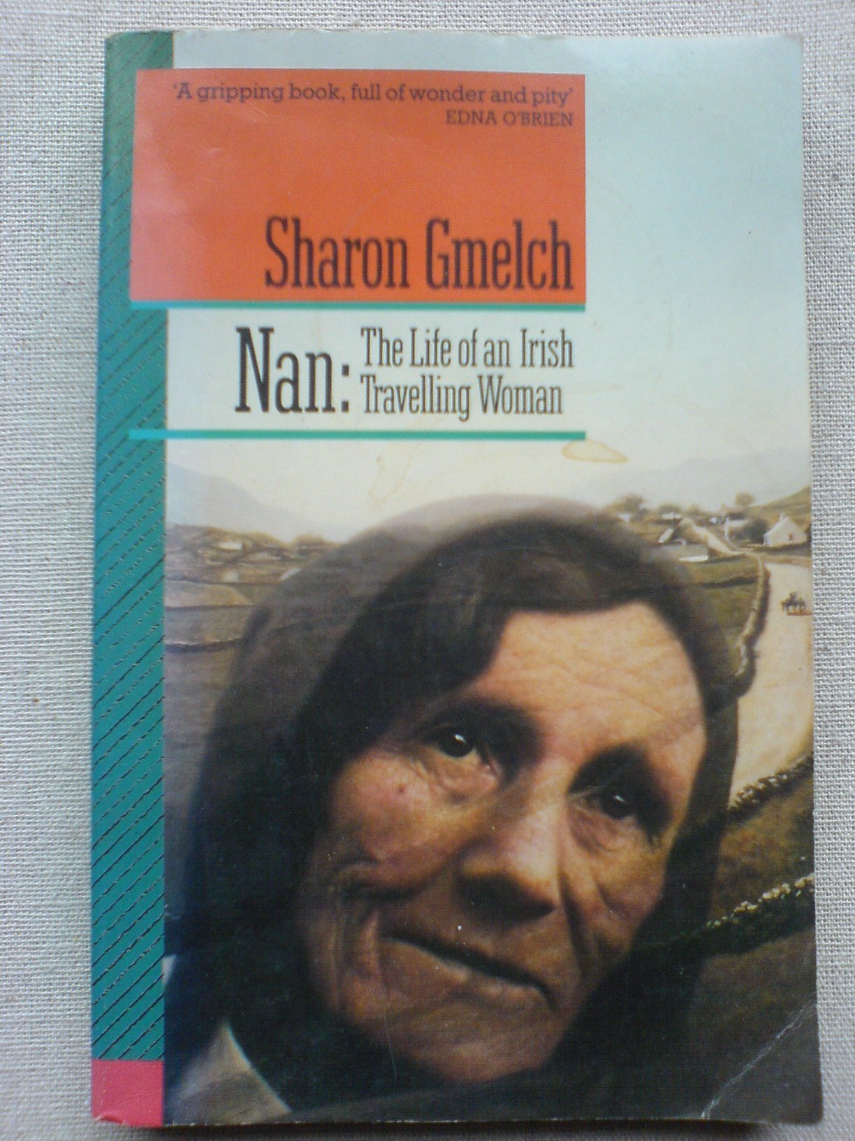 Nan: Life of an Irish Travelling Woman (Pavanne Books) Memories