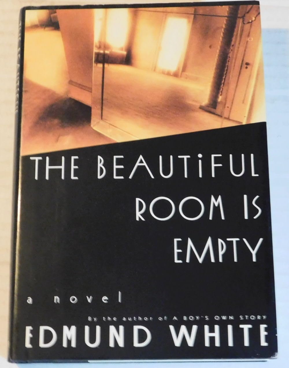 The Beautiful Room is Empty (Picador Books) Contemporary literature