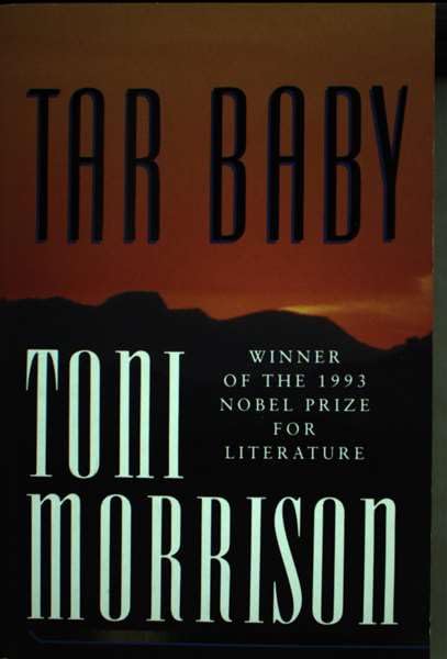 Tar Baby (Picador Books) Contemporary literature