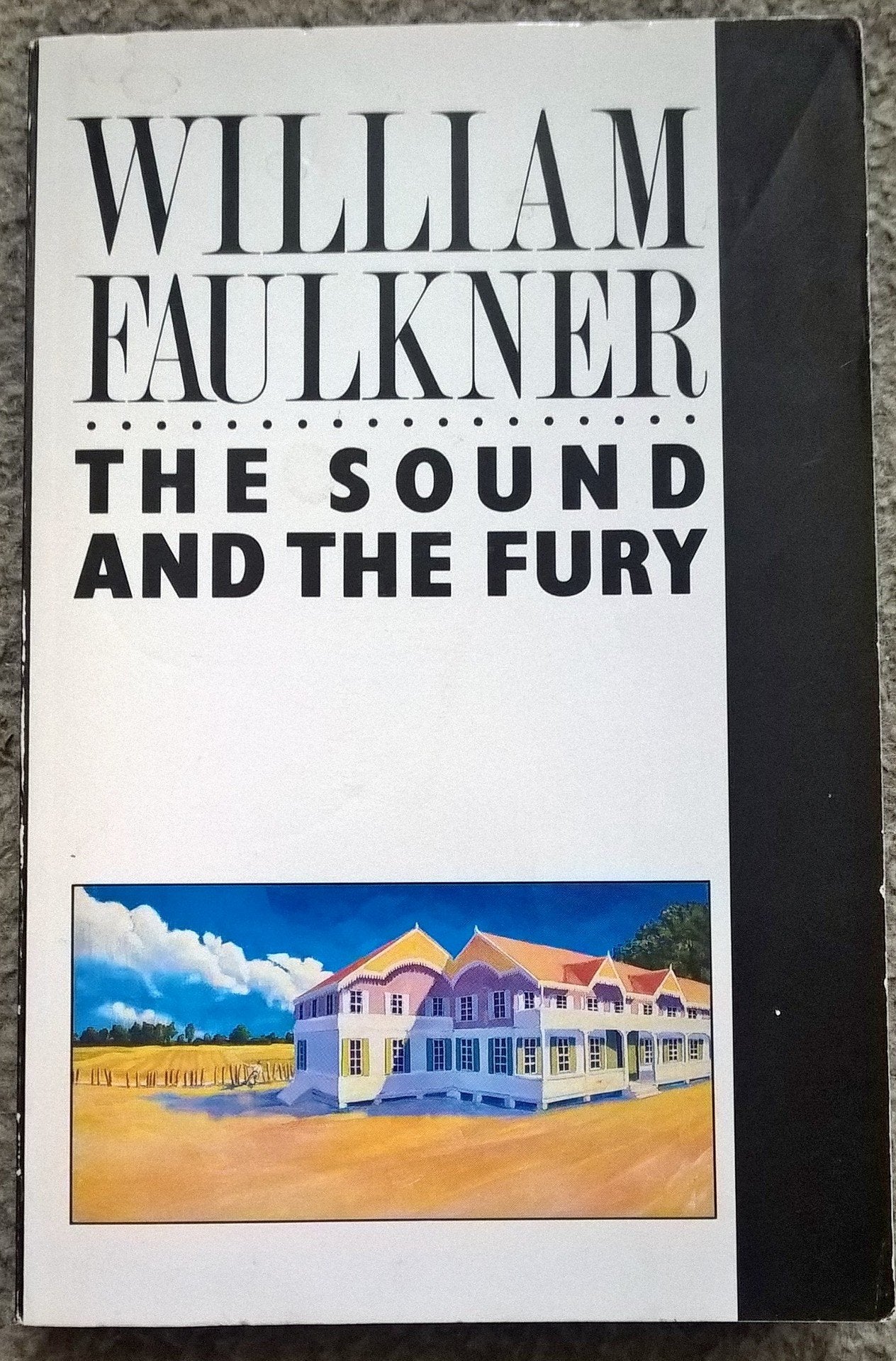 The Sound and the Fury (Picador Books) Contemporary literature