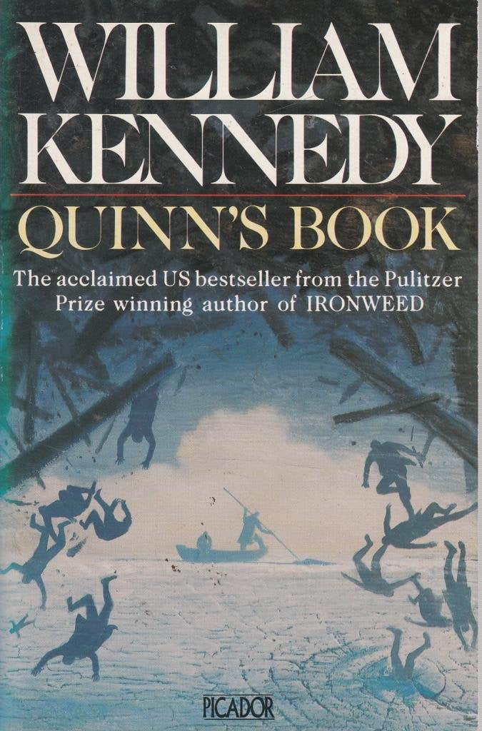 Quinn's Book (Picador Books) Contemporary literature