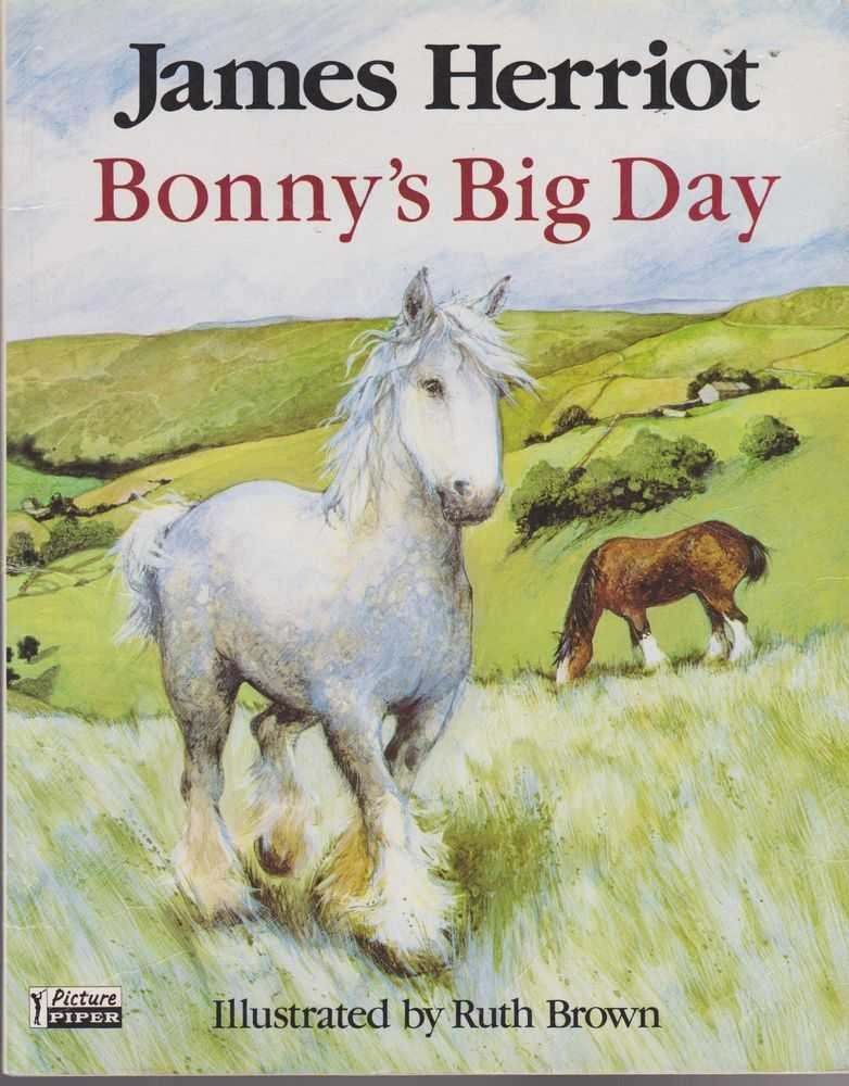 Bonny's Big Day (Piper Picture Books) Novels & Short Stories