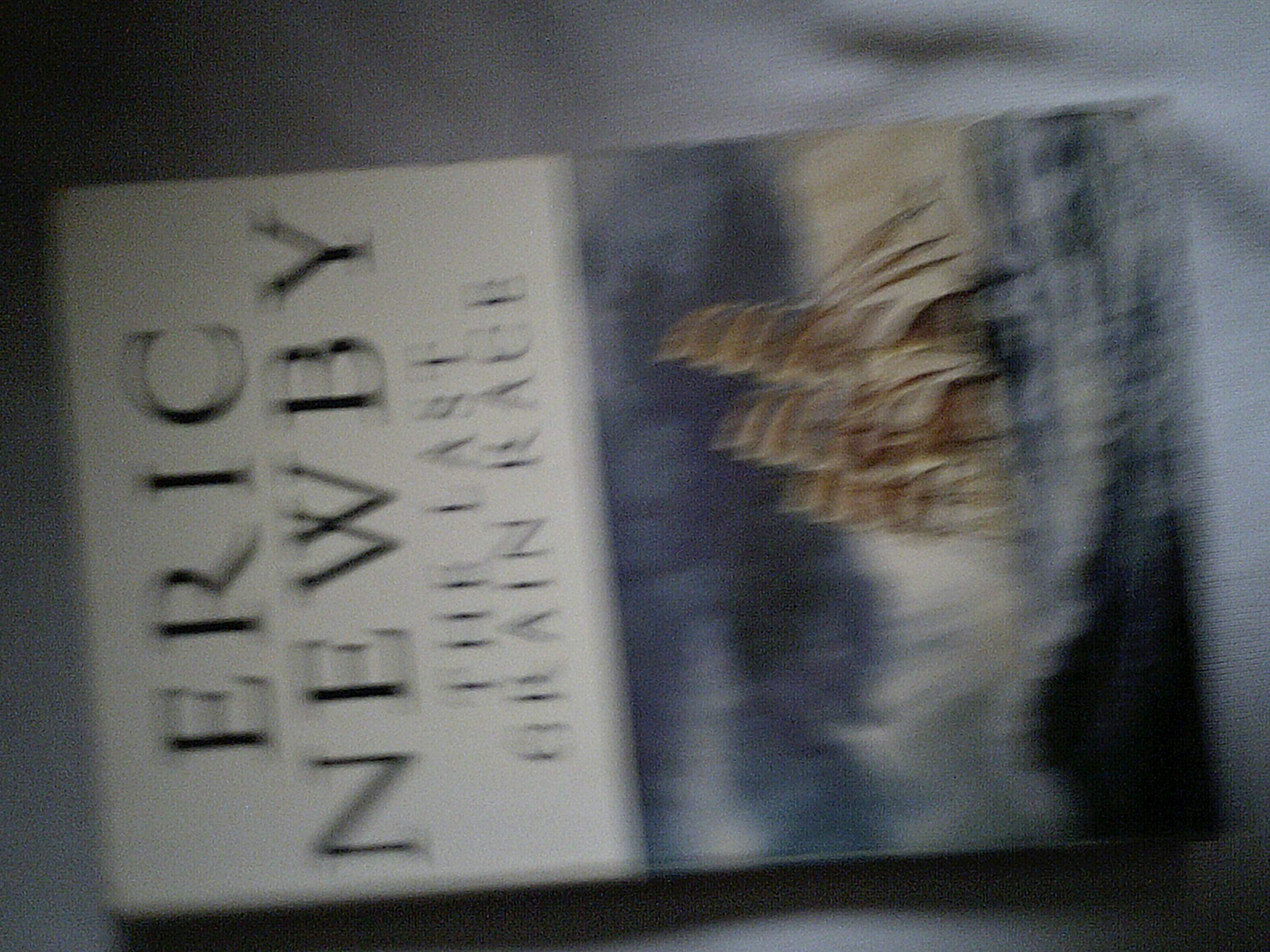 The Last Grain Race (Picador Books) Travel
