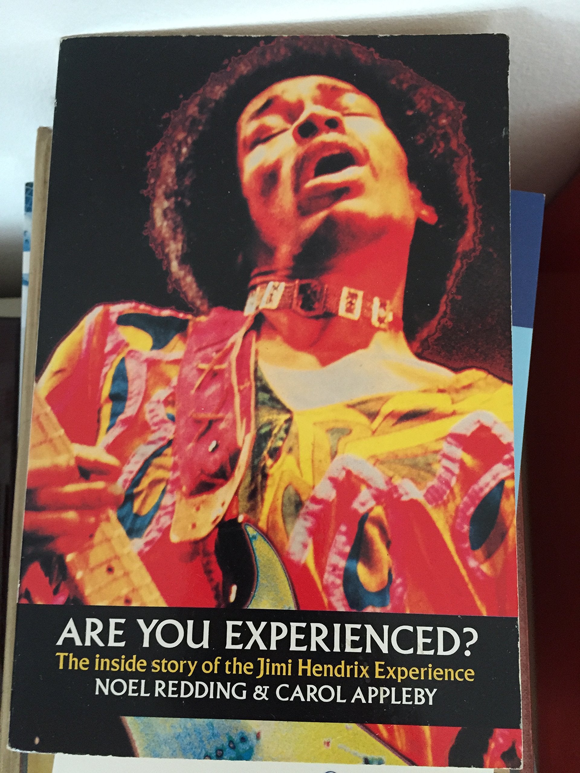 Are You Experienced?: Inside Story of the Jimi Hendrix Experience (Picador Books) Pop culture