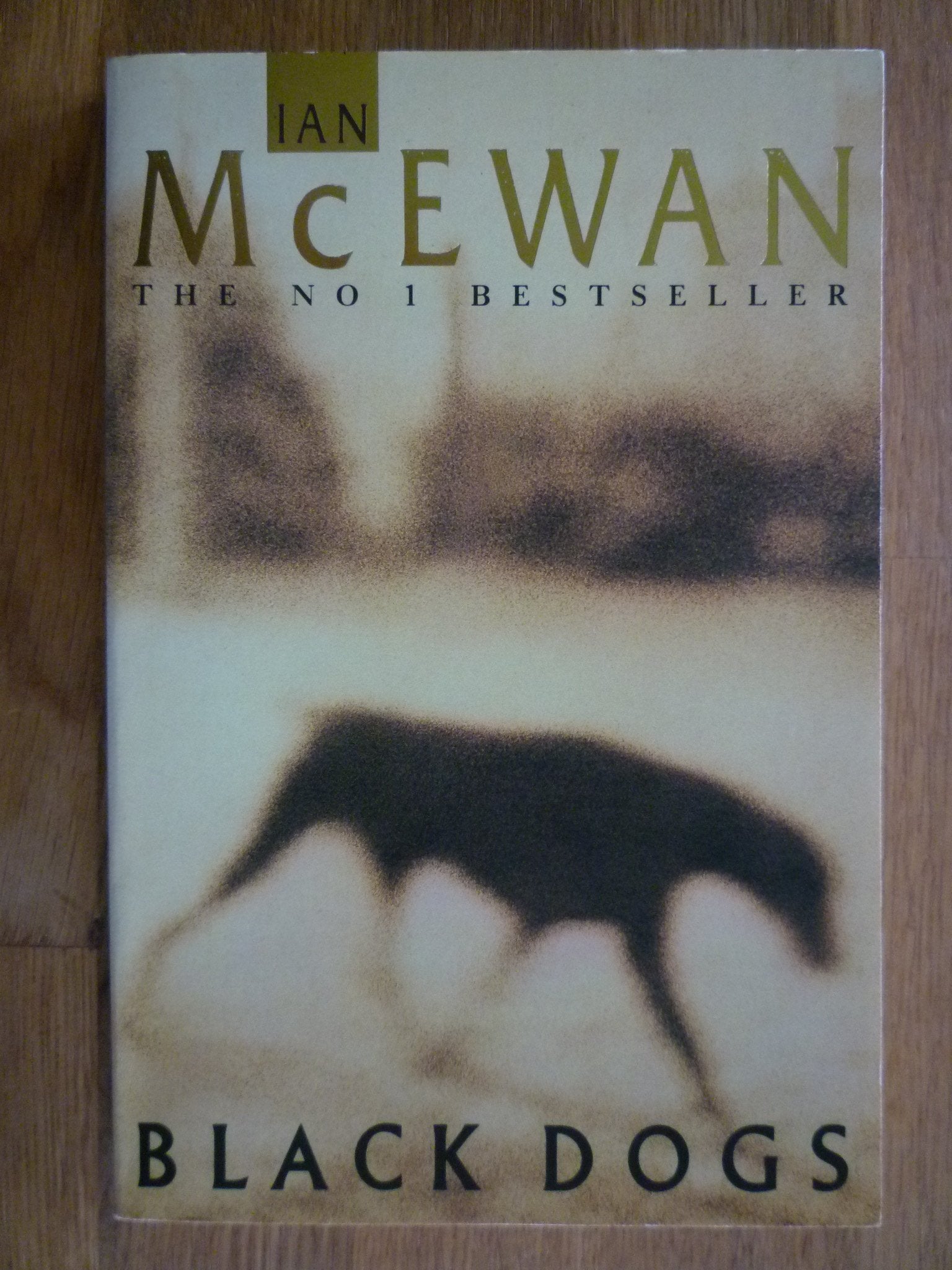Black Dogs Contemporary literature Books