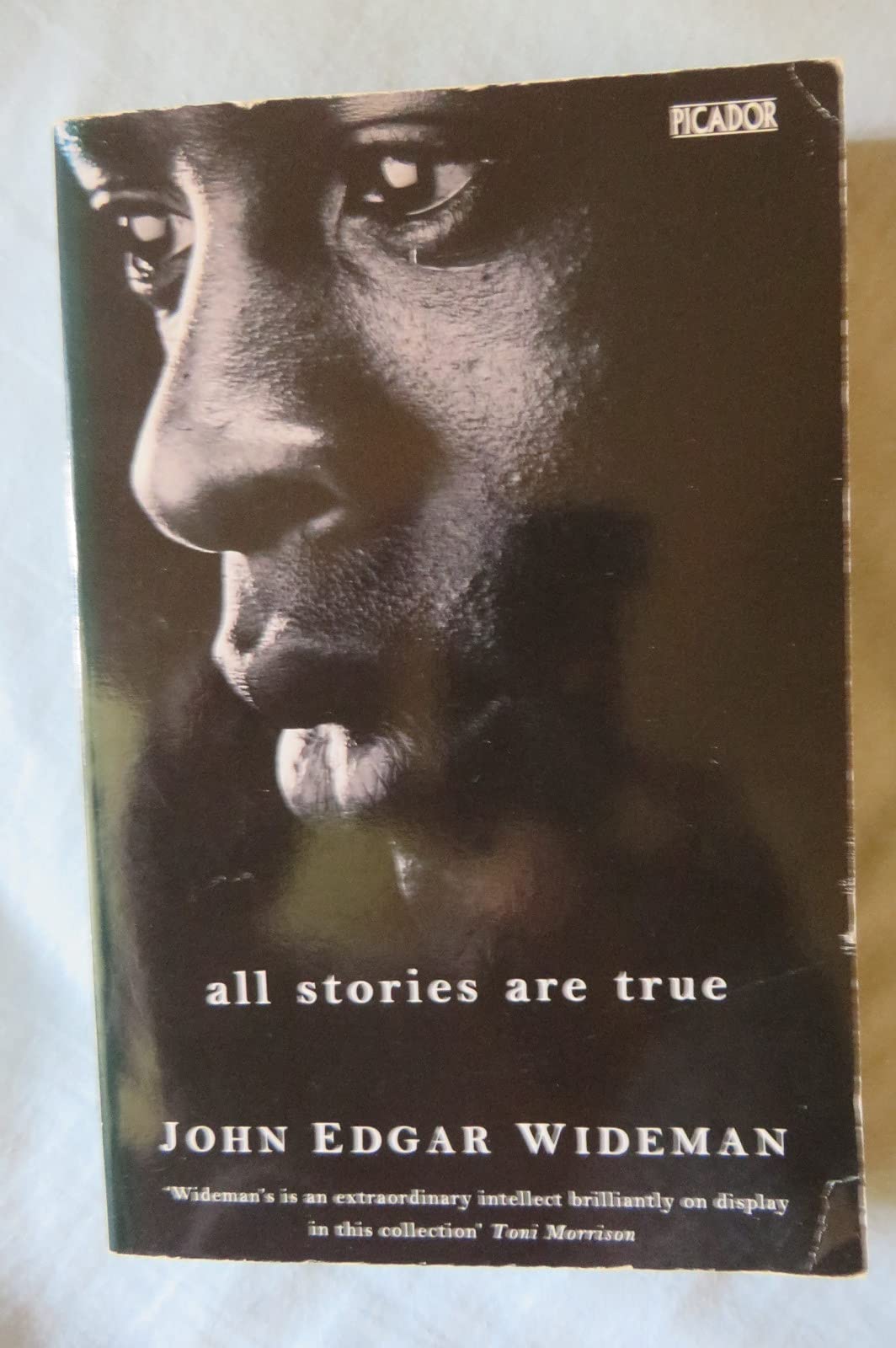 All Stories are True: The Stories of John Edgar Wideman book