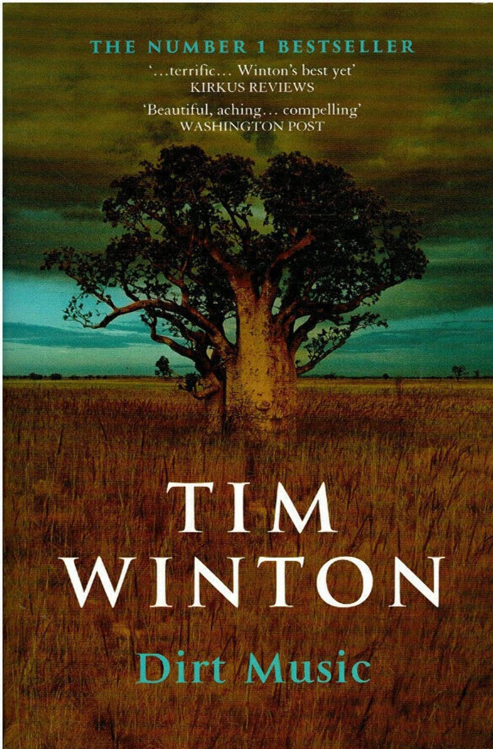 Dirt Music Contemporary literature Books