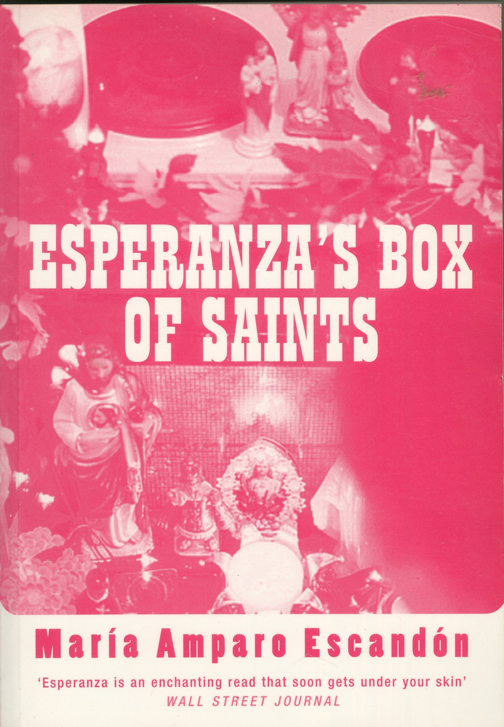 Esperanza's Box of Saints Contemporary literature